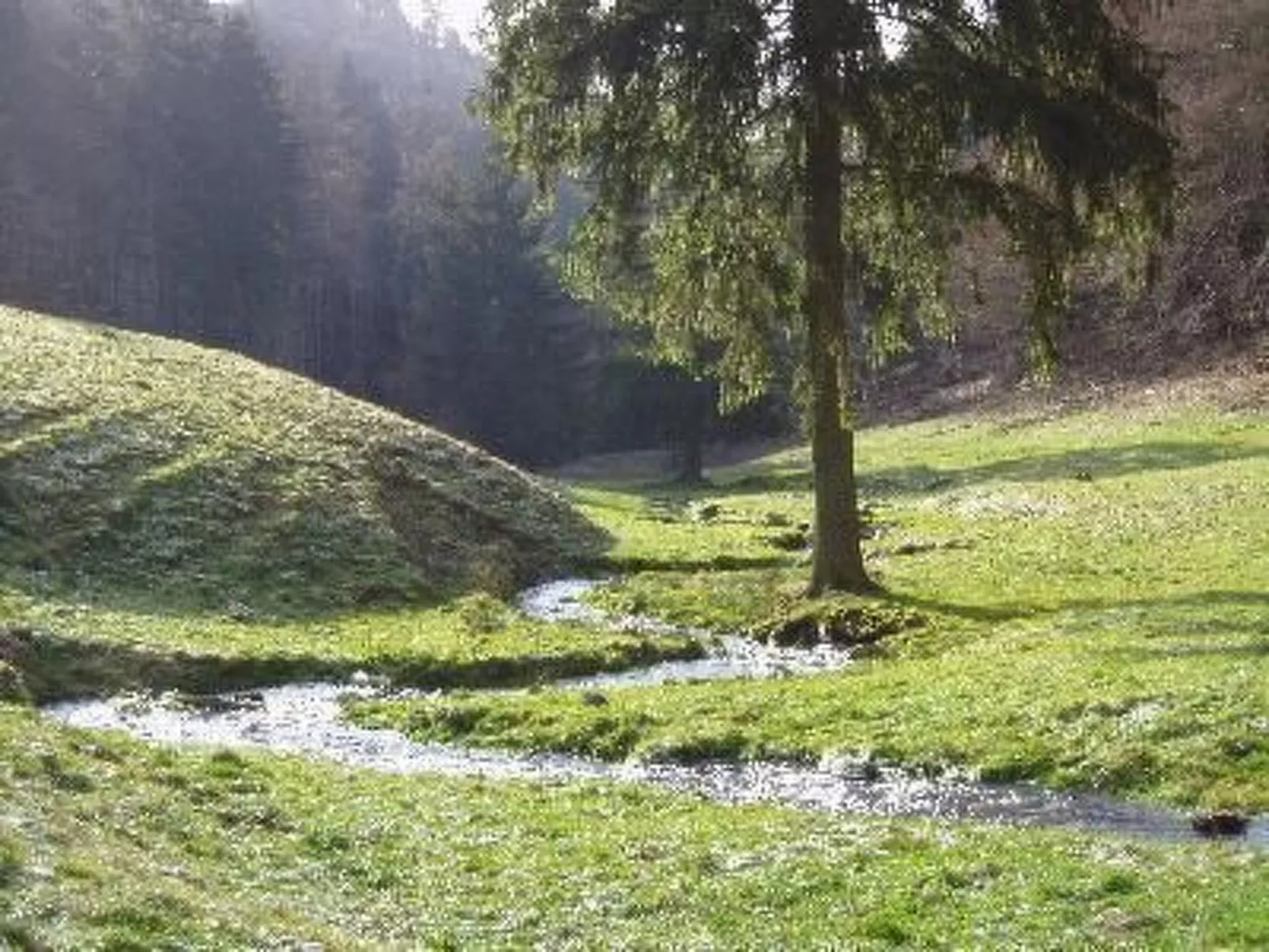 Mit Terrasse-Outside