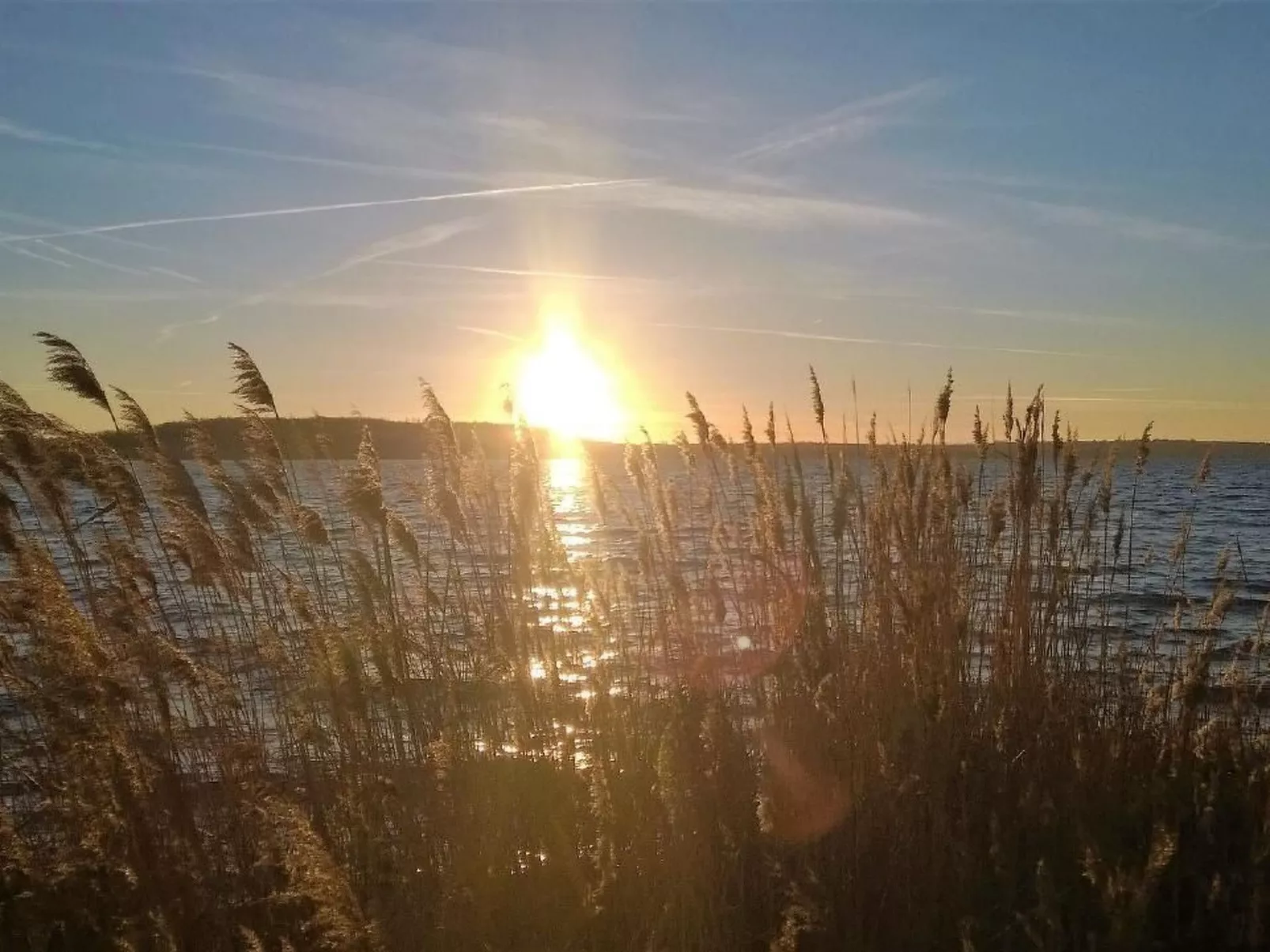 Seehaus Arielle mit Wassergrundstück-Inside