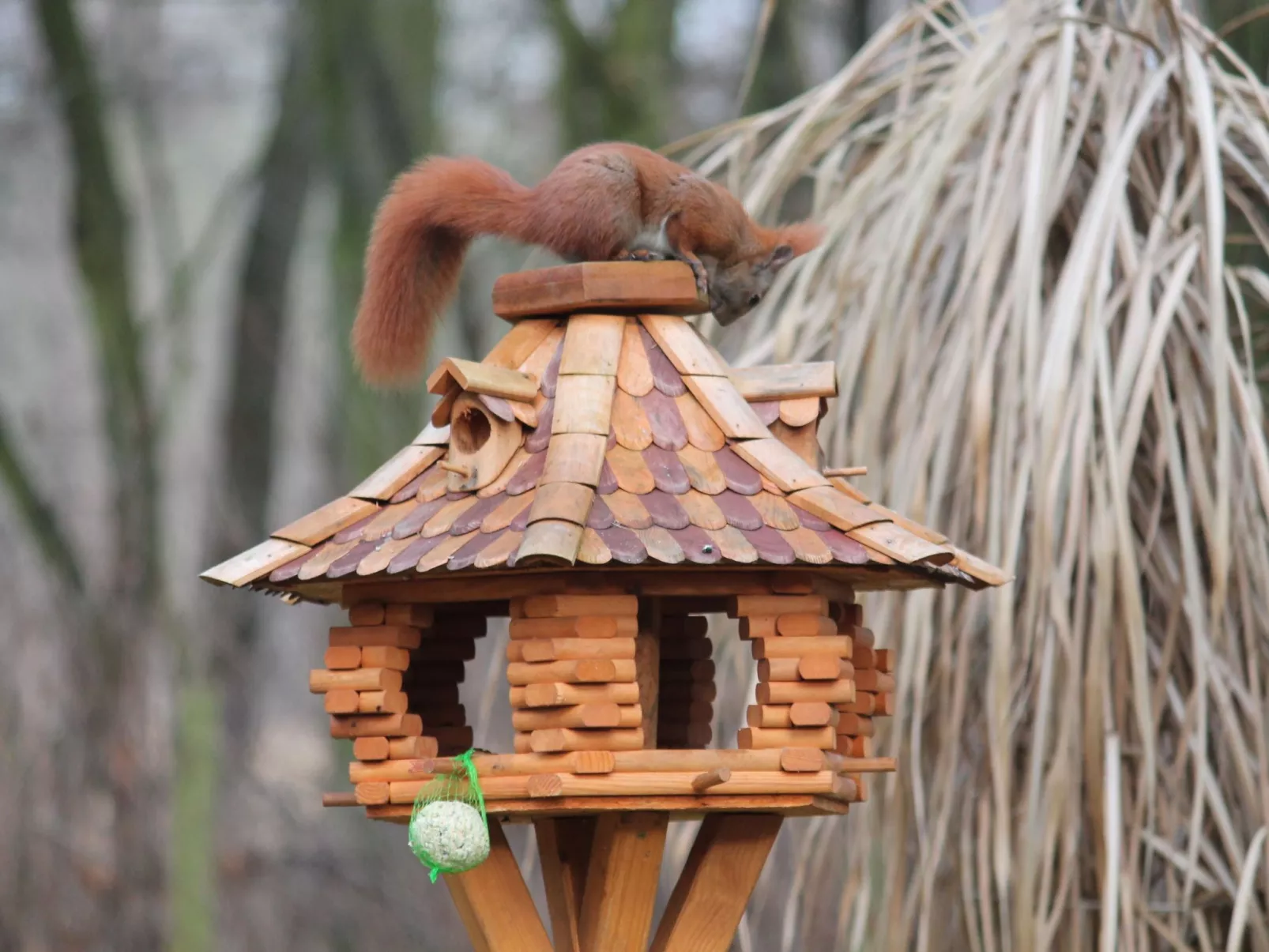 Bungalow Waldidyll-Inside
