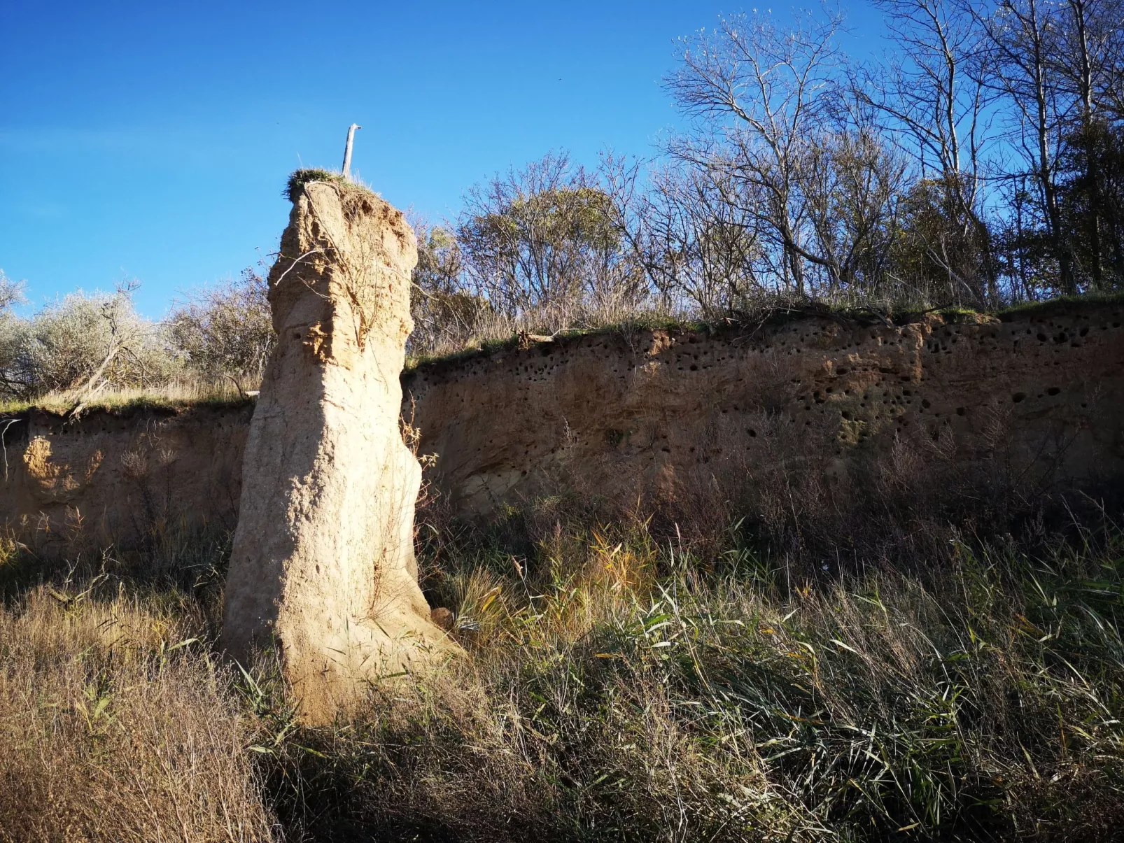 FH Salzhaff-Urlaub-Inside
