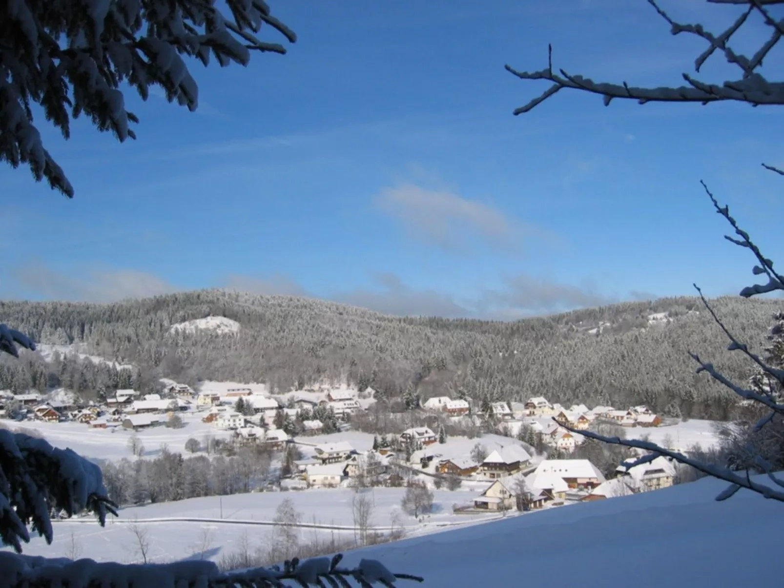 Appartement in Wittenschwand-Dedans