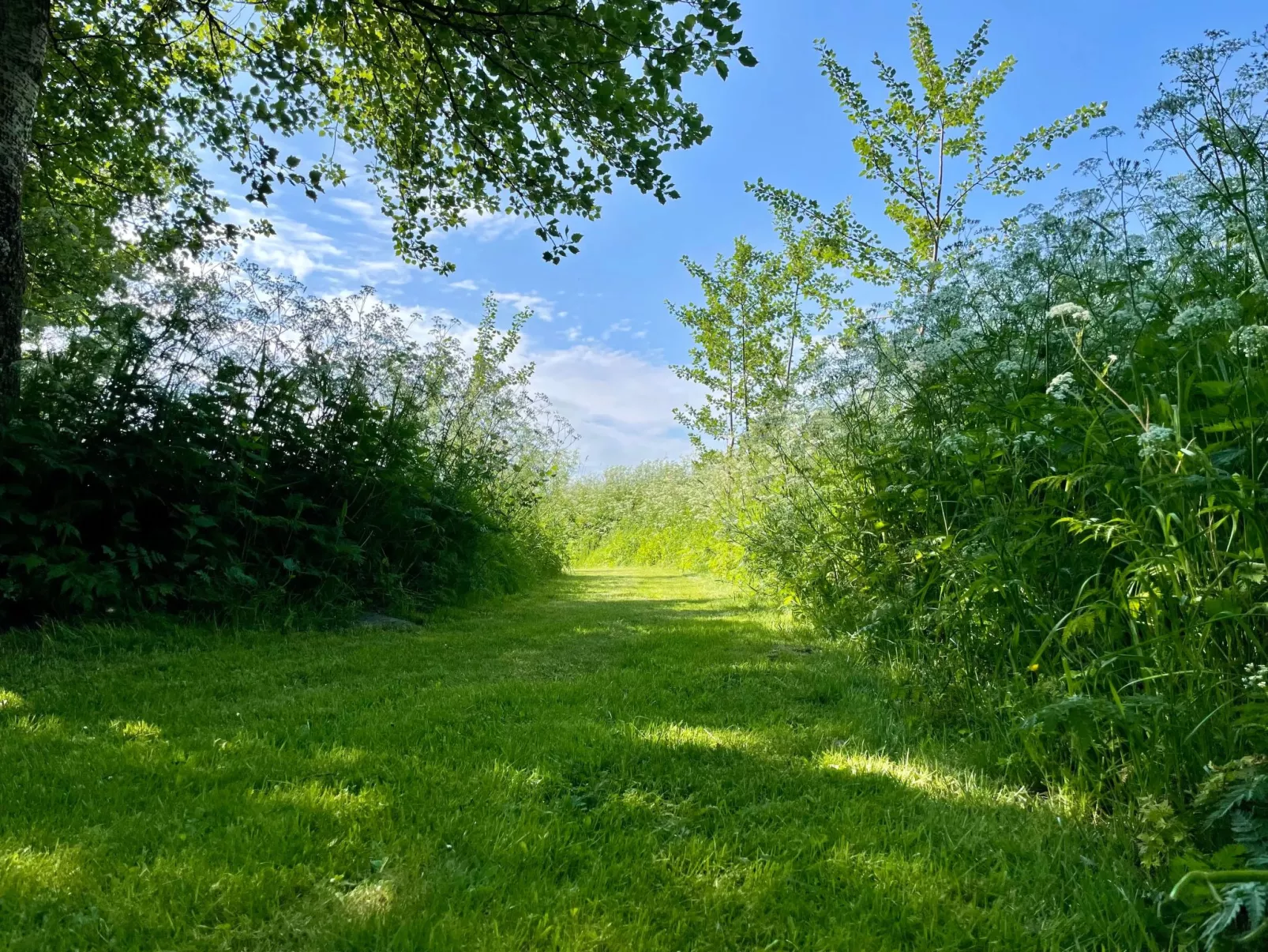 Reetdachhaus für erholsamen Familienurlaub-Inside