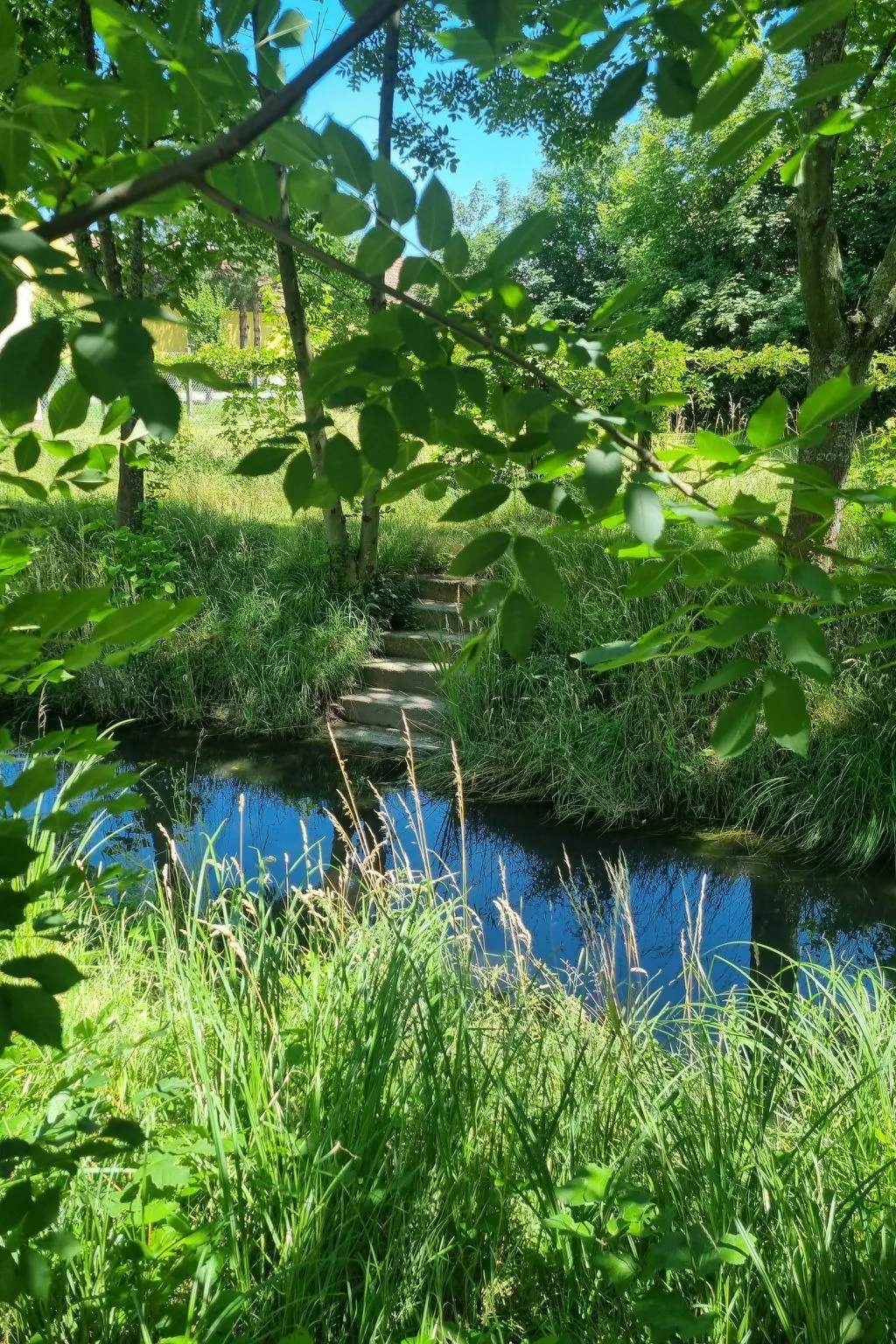 Familienfreundliche Wohnung im schönen Reisenberg-Drinnen