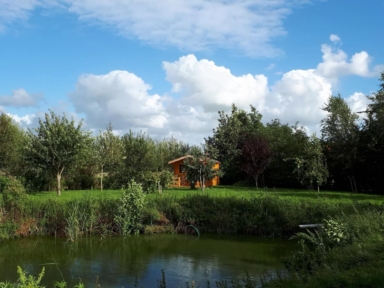 Sonnige Ferienwohnung in ländlicher Umgebung-Drinnen