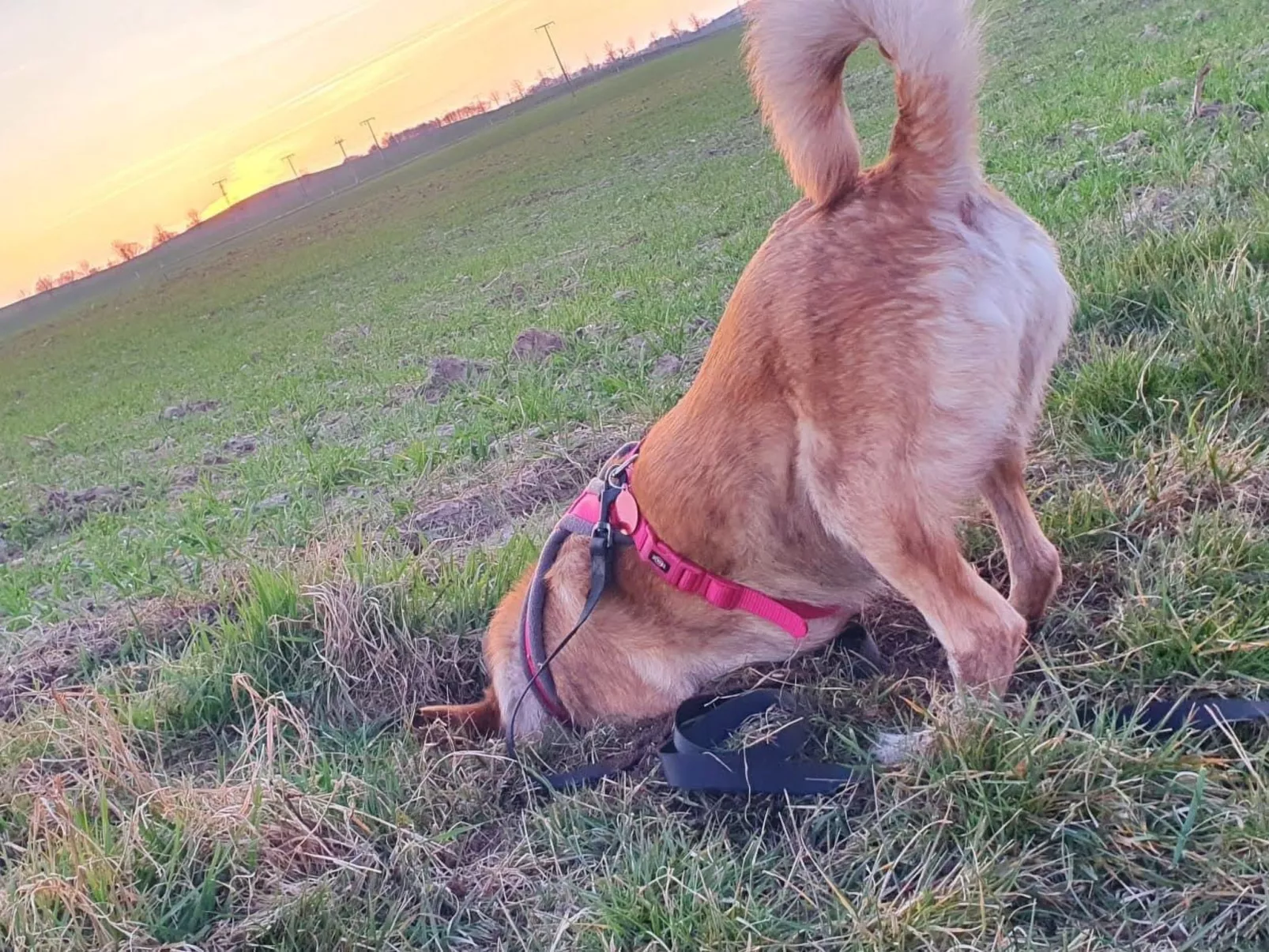 Landhaus Müritzliebe-Dedans