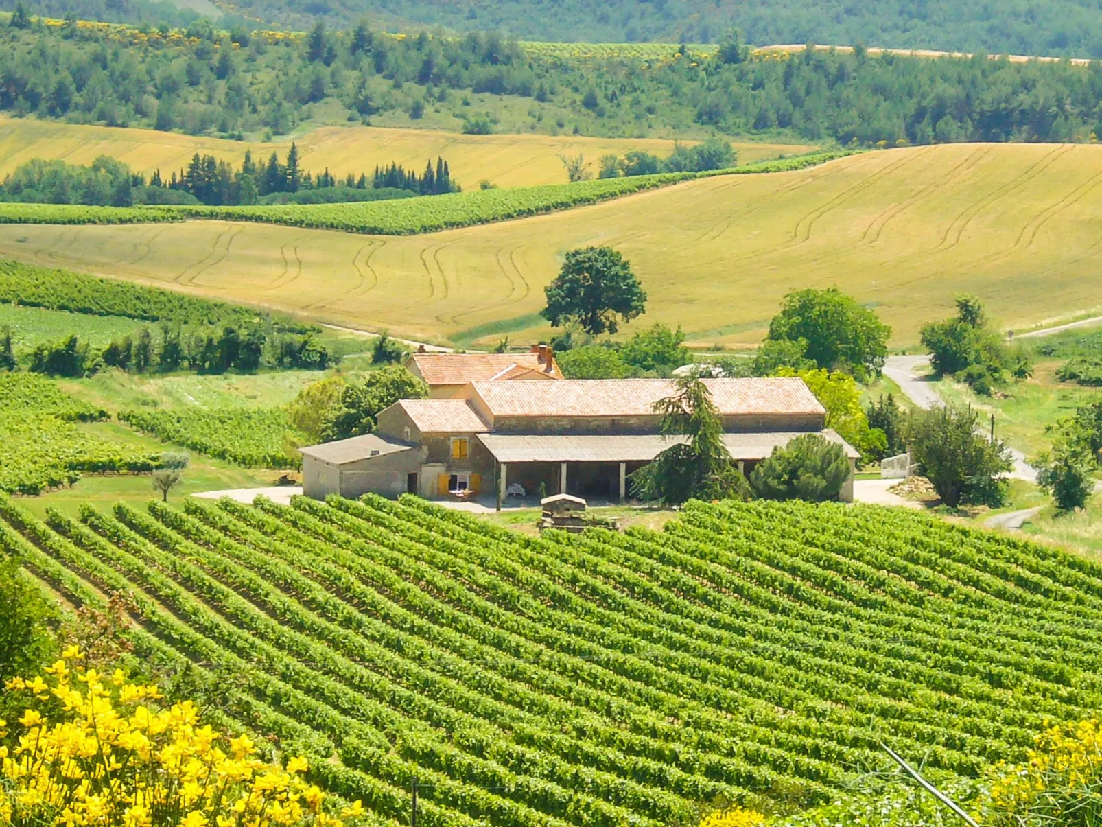 Mit eigenem Pool-Draußen