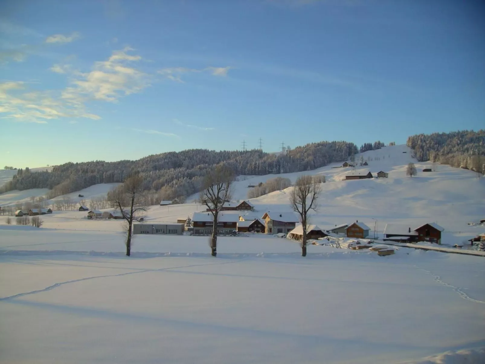 Hautle-Image-tags.info