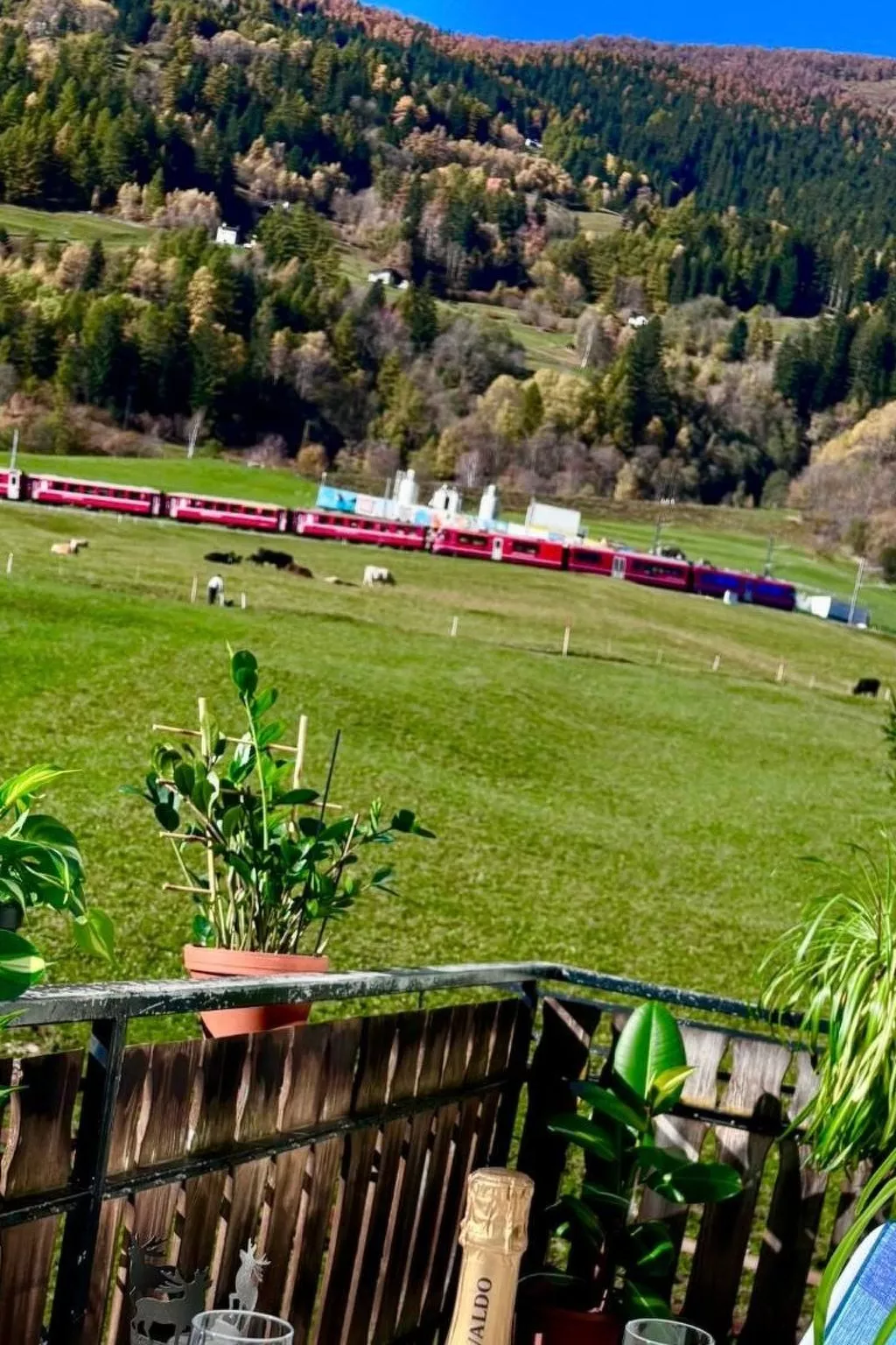 "Window on the grenn"-Inside