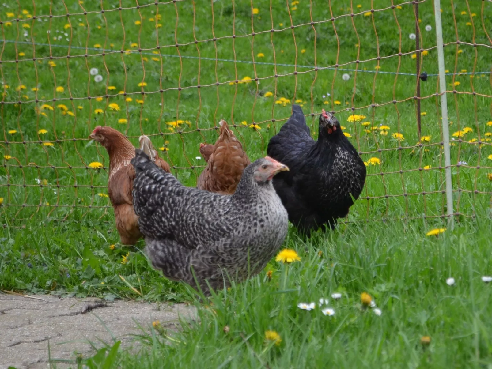 Wohnung "Rustique"-Draußen