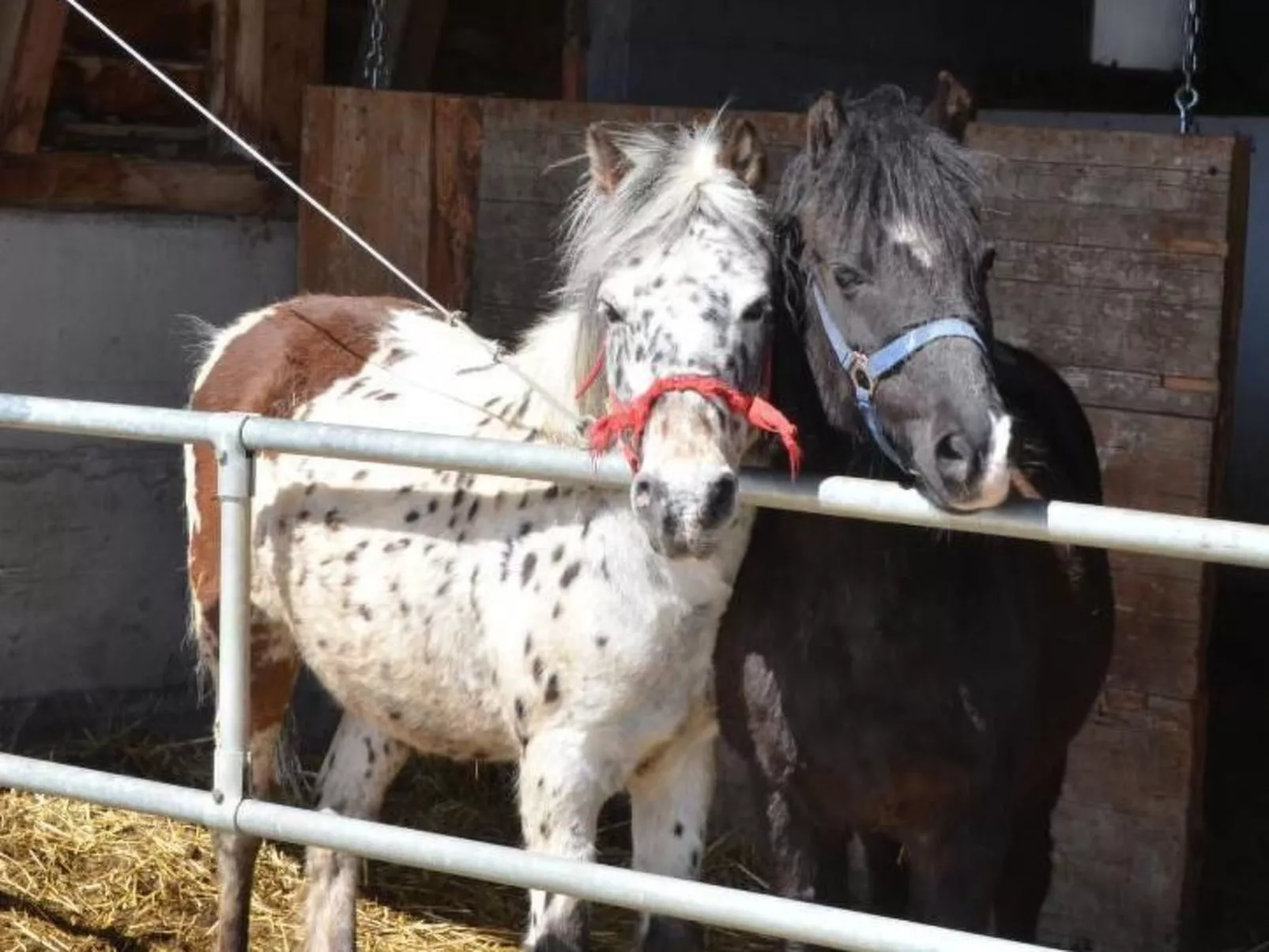 Biohof Furn-Image-tags.info