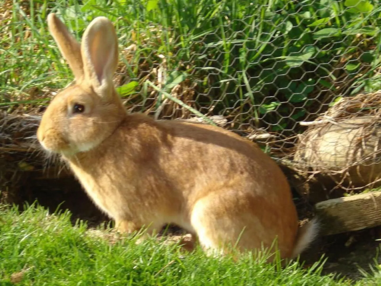 Burehof Waltrigen-Inside