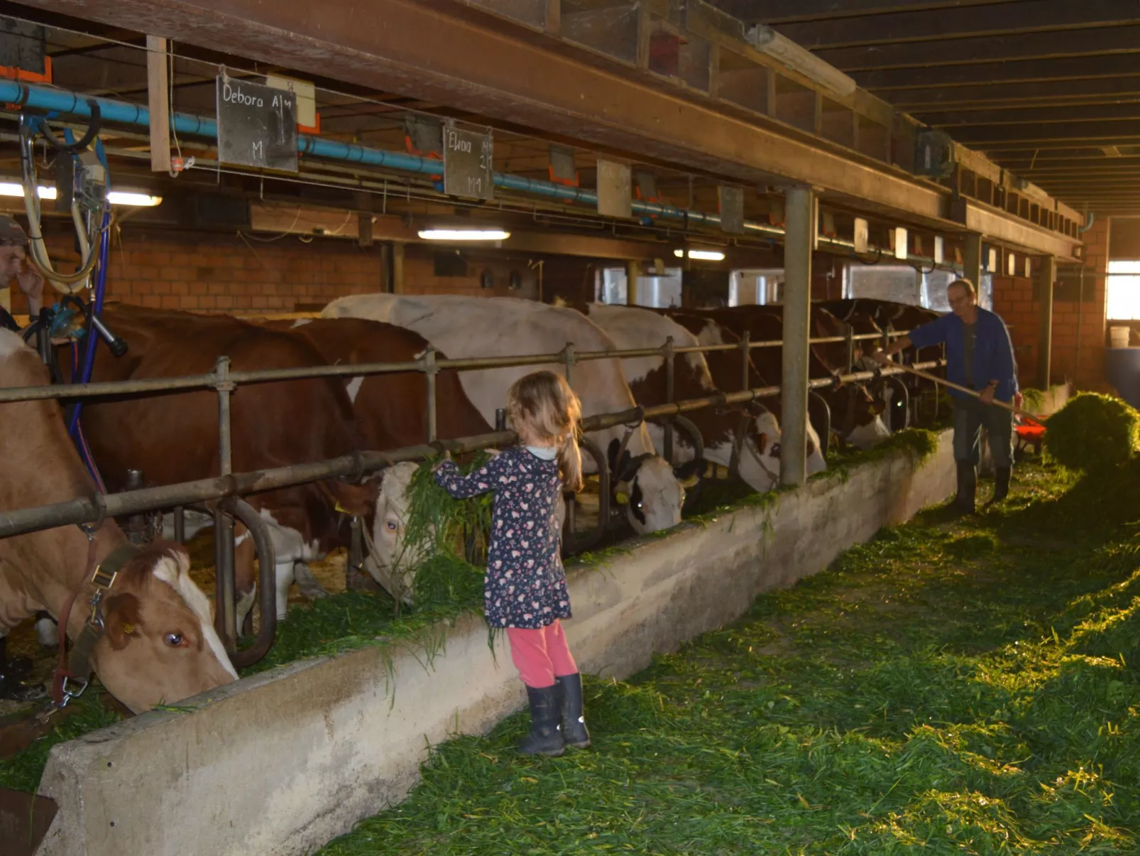 Bättwil-Image-tags.info