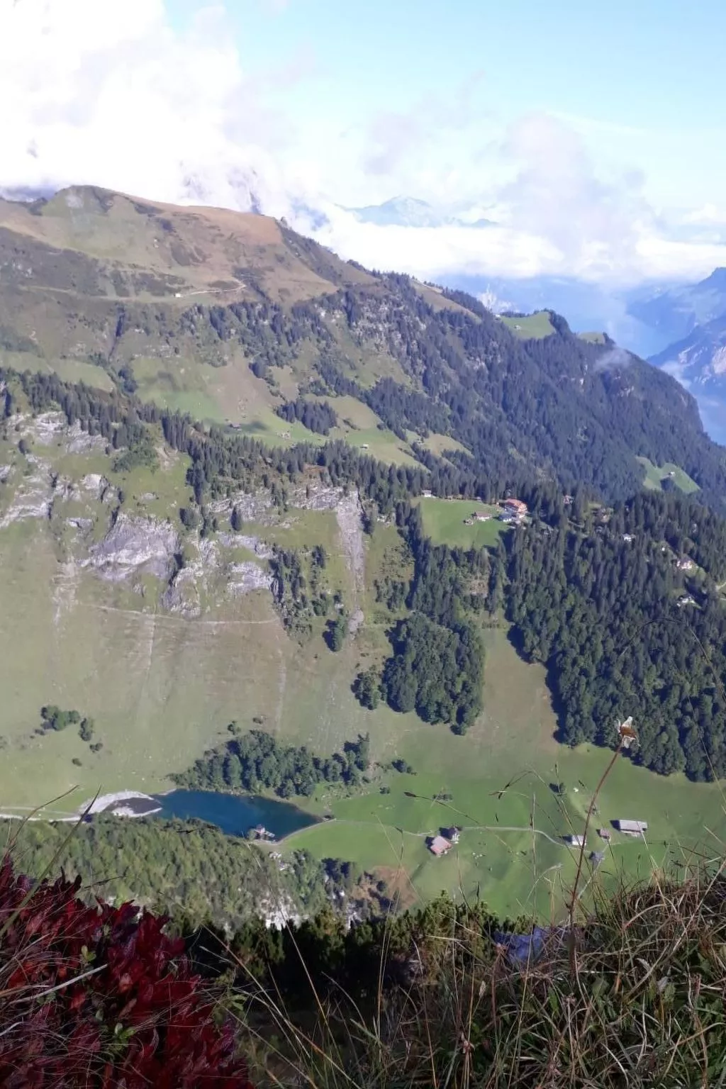 Ferienwohnung-Draußen