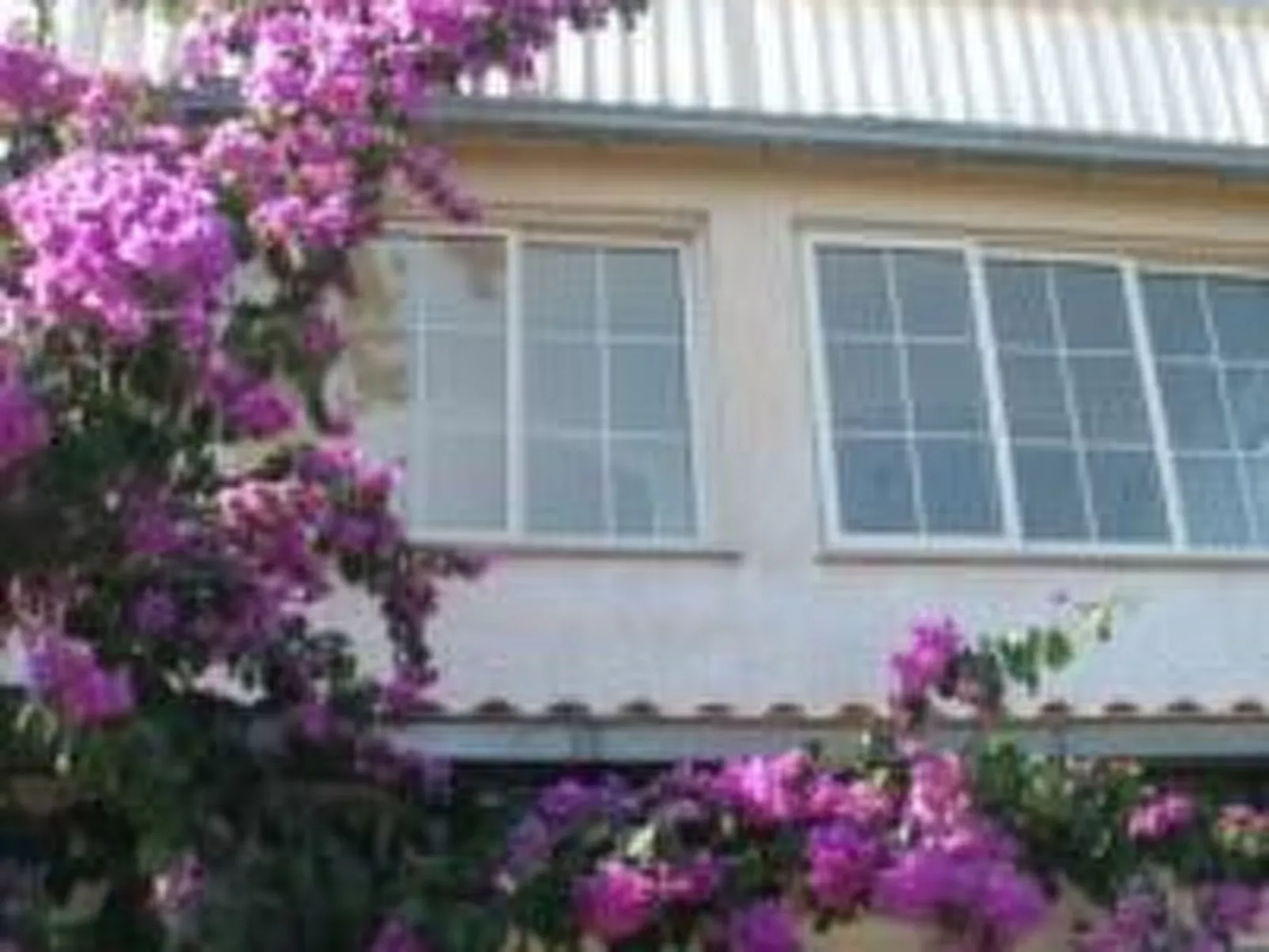 Studio Ferienwohnung-Outside