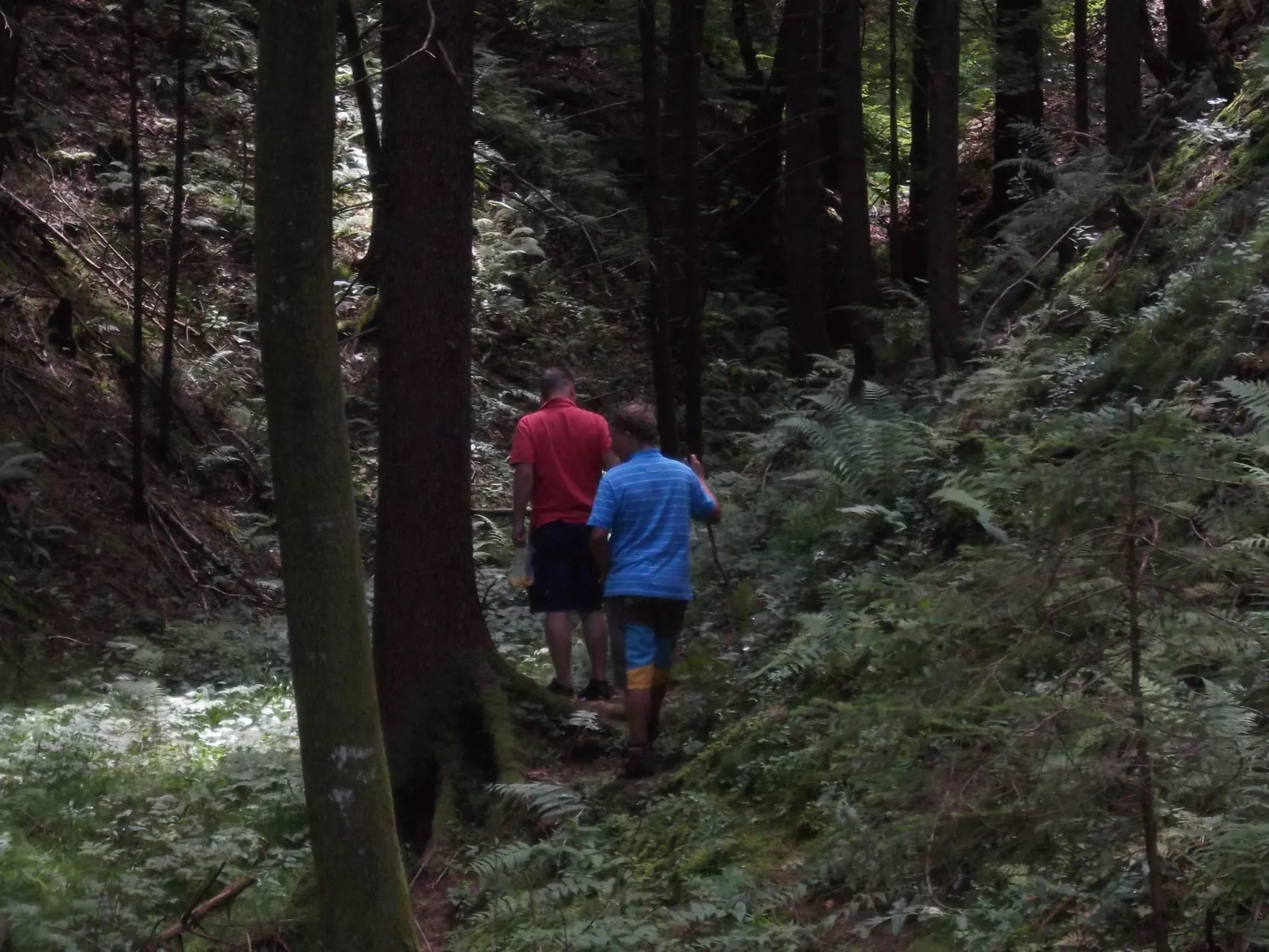 Wohnung Rozika-Image-tags.info