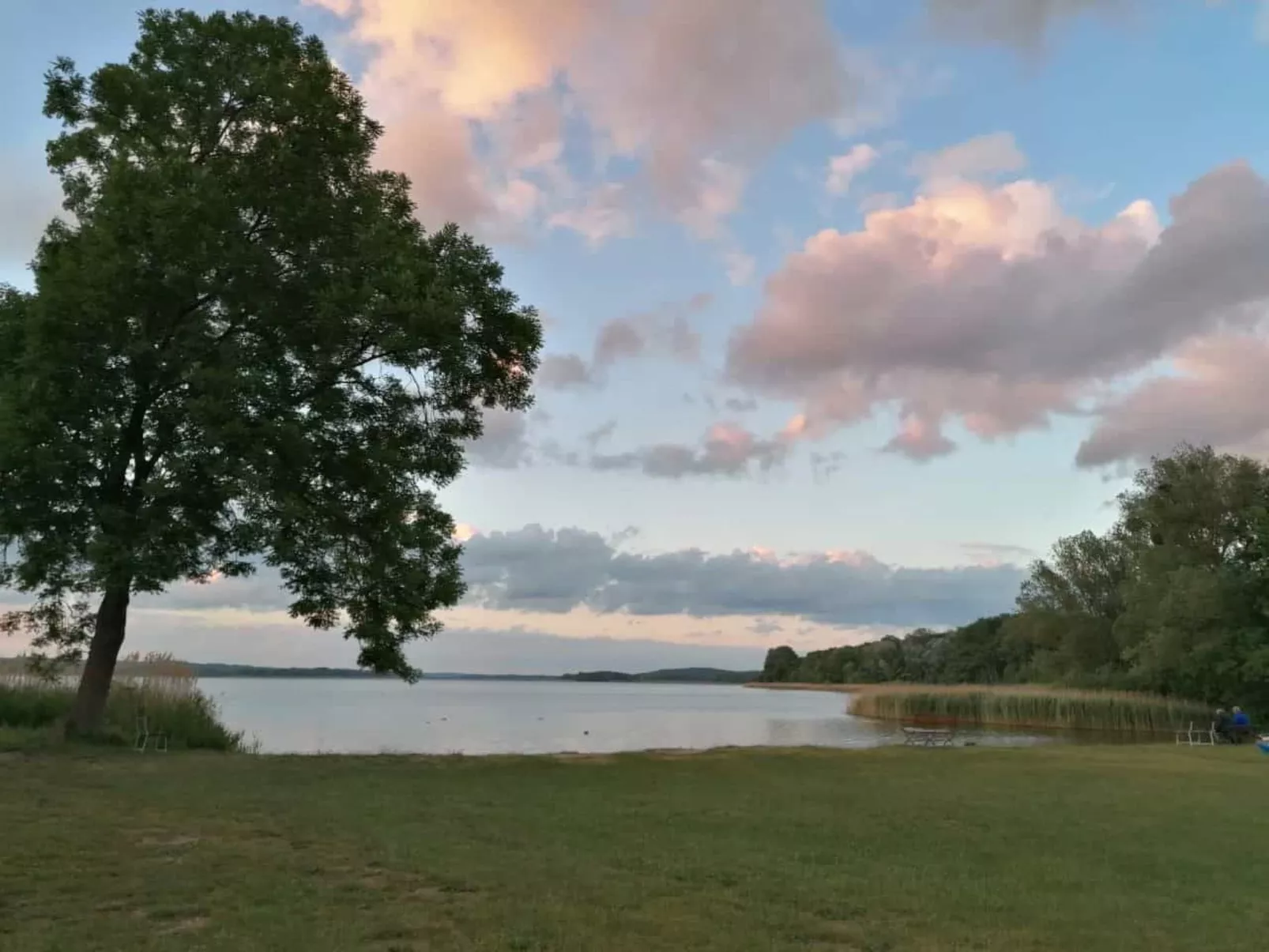 In Dahmen mit Großem Garten-Draußen