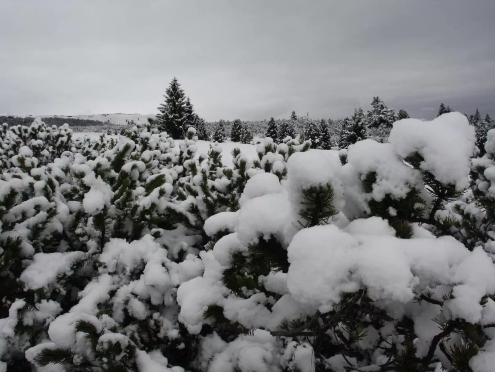 Mit Blick auf das Wasser-Image-tags.info