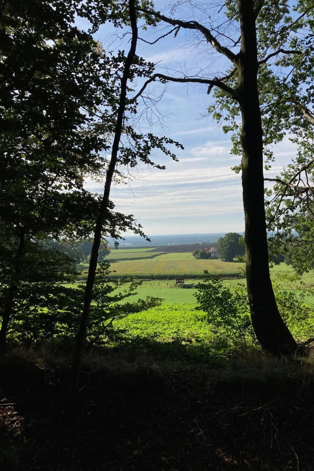 Schönes Ferienhaus in Brochterbeck mit Garten-Image-tags.info