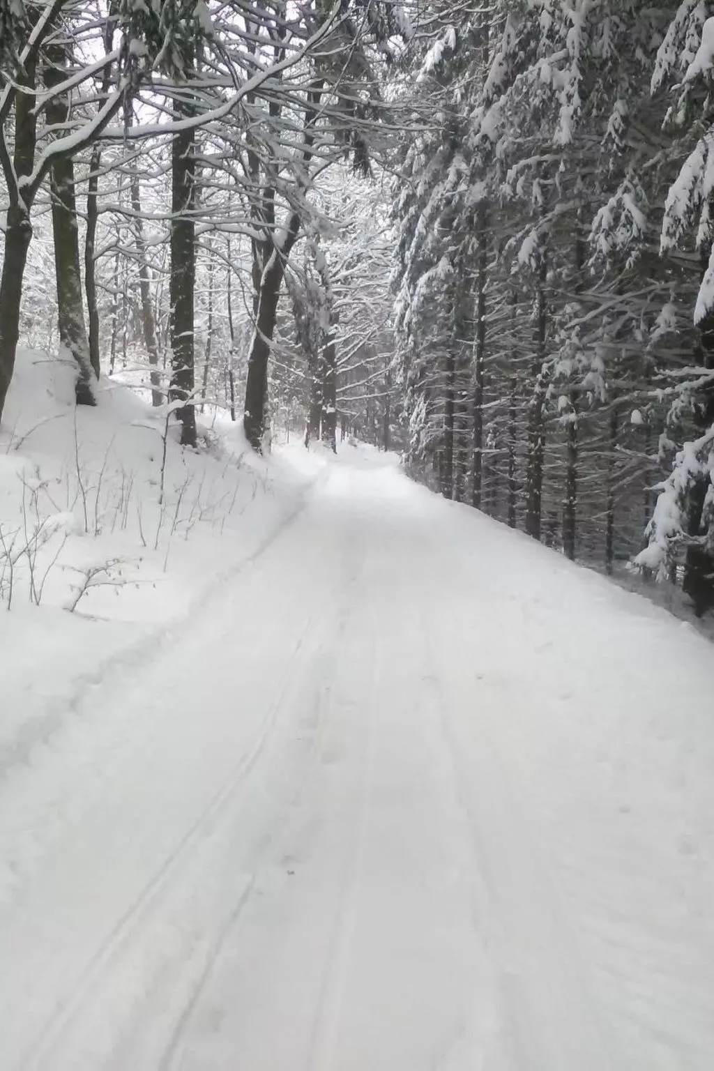 Mit der Natur im Einklang-Drinnen