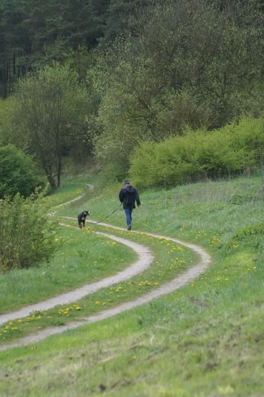 Gemütliche Maisonette Wohnung Seelenblick-Inside