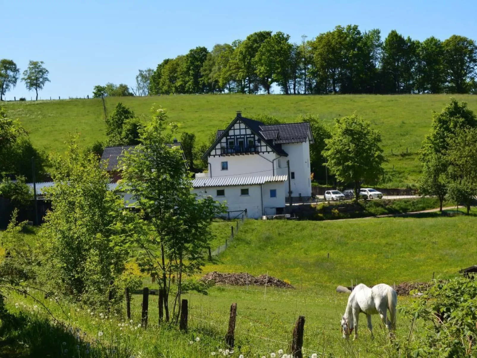 In Feldmannshof mit Grill und Garten-Inside