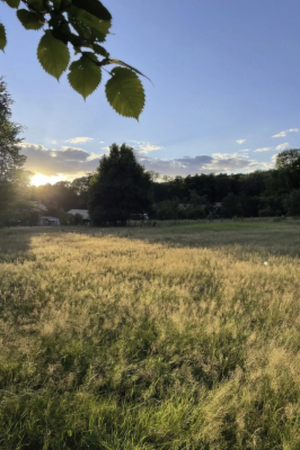 Spreewaldhaus am Landgut - Der Stall-Dedans