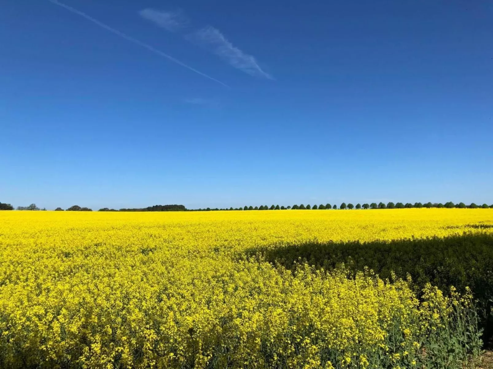 Müritz Ferienhaus-Drinnen