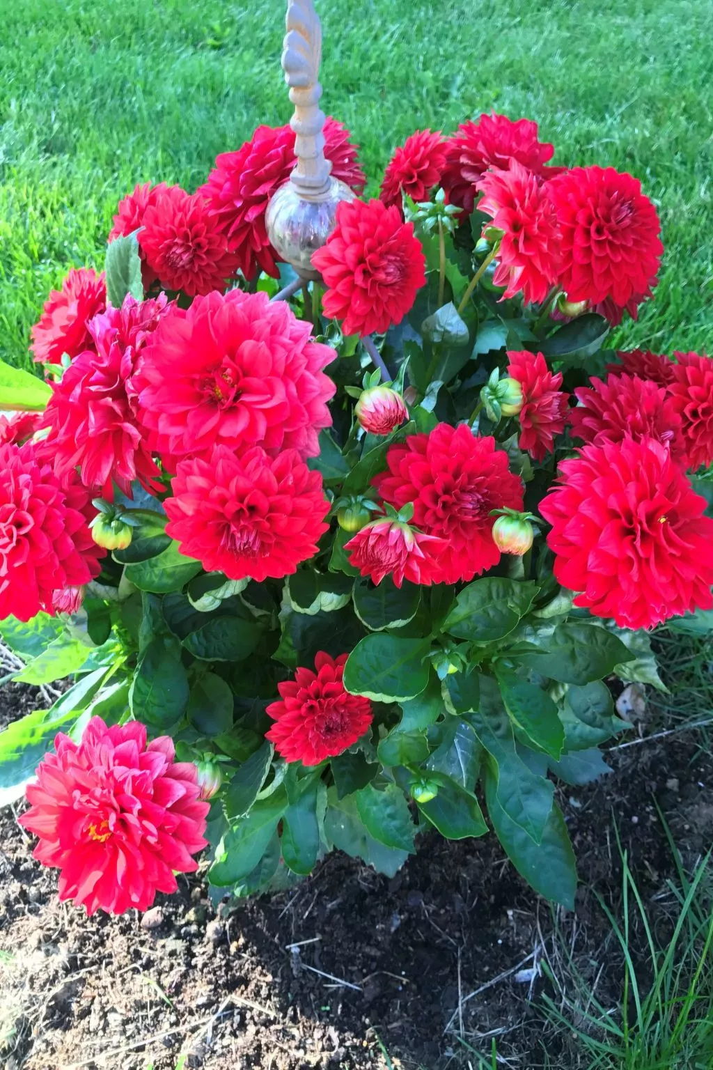 Haus Alpenblick-Inside