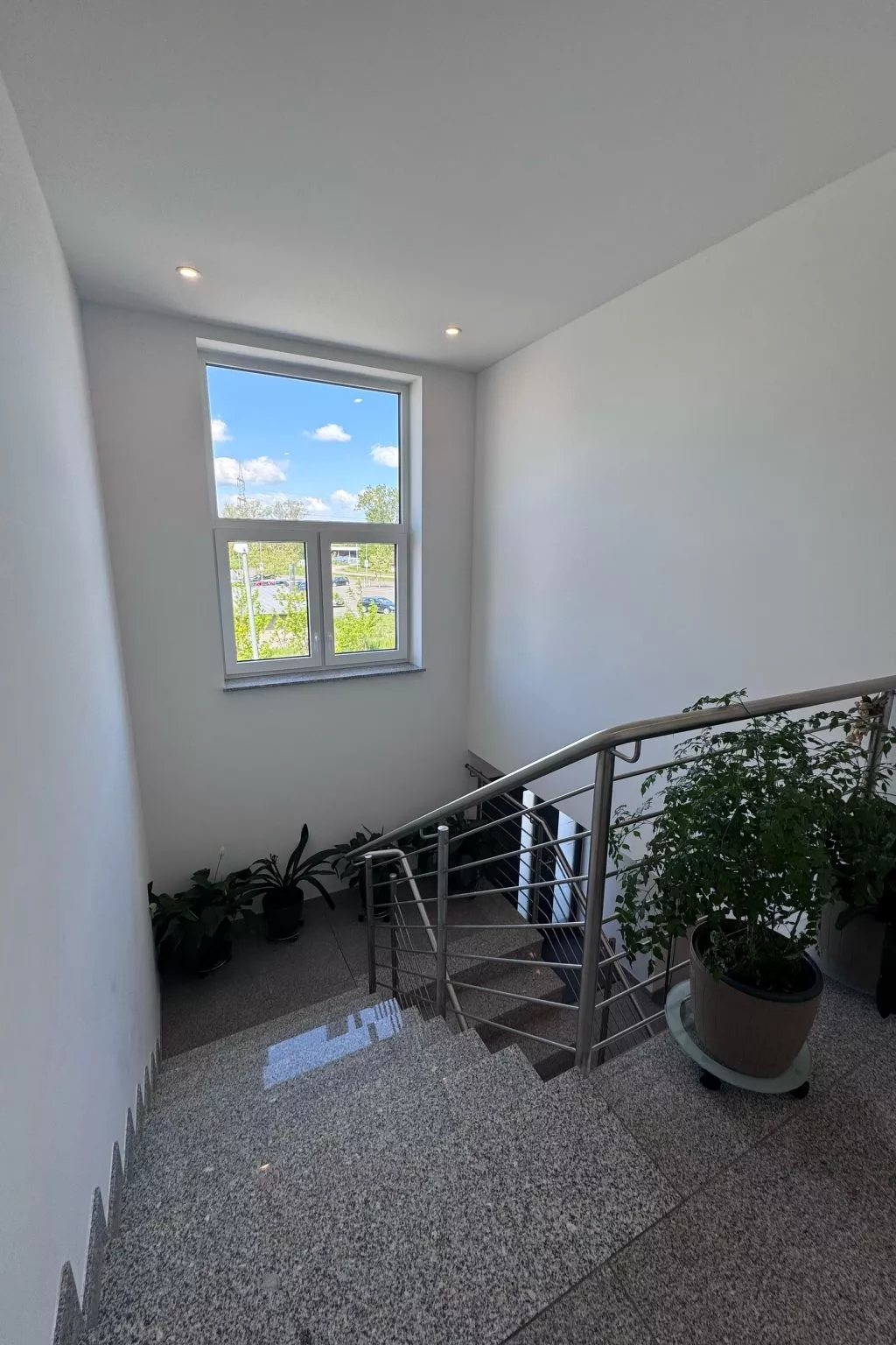 Dariana Schwalbach-Image-tags.info