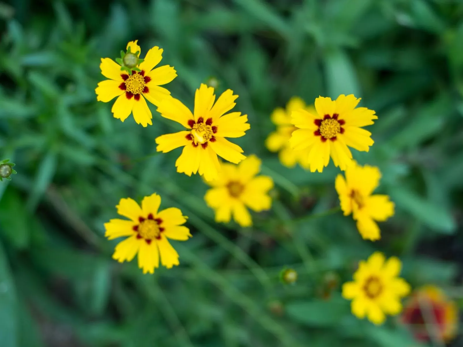 Gemütliches Ferienhaus in Hasenfeld mit Großem Garten-Dedans