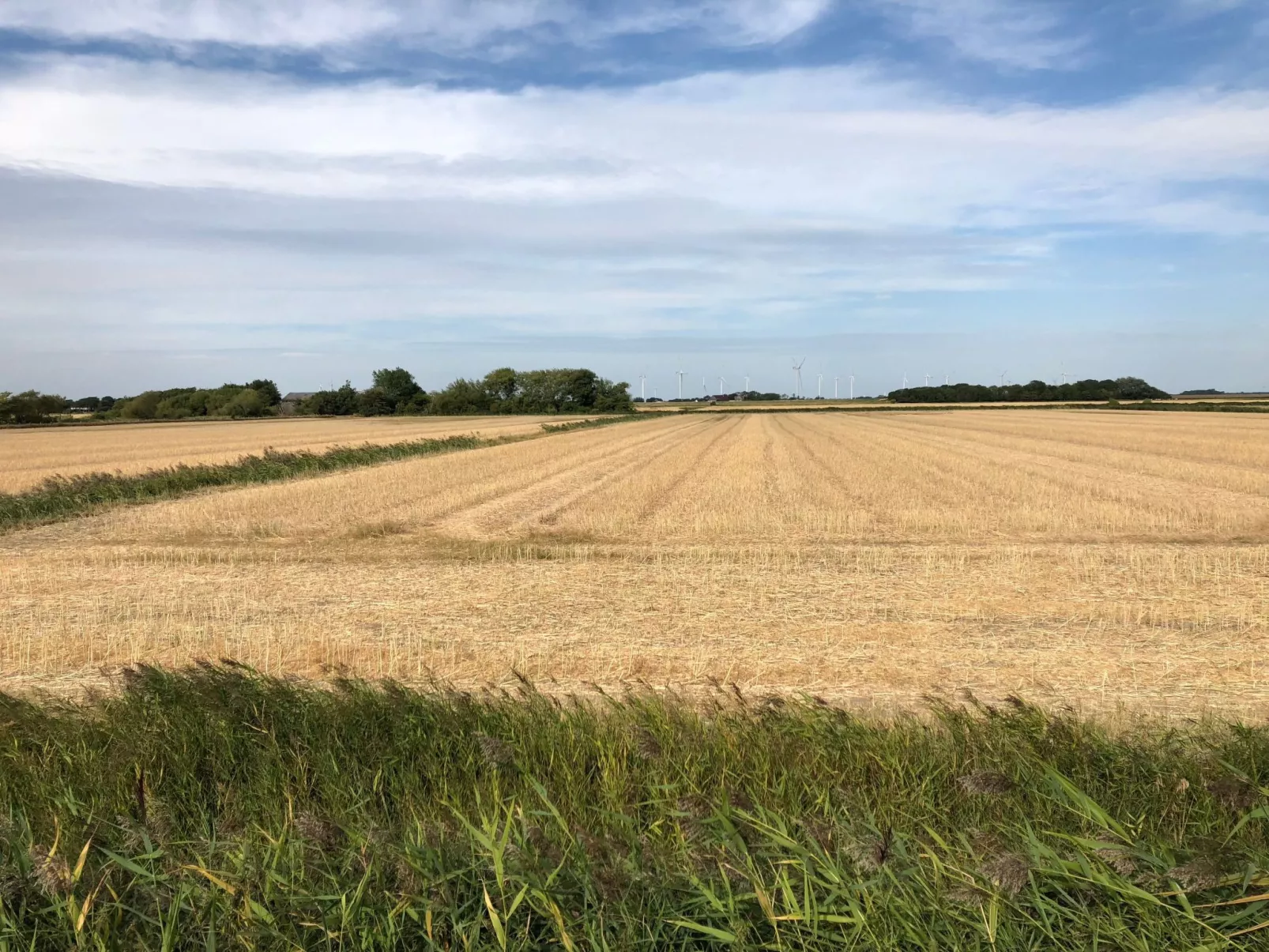 Reetdachhaus inmitten von Wiesen und Feldern-Inside