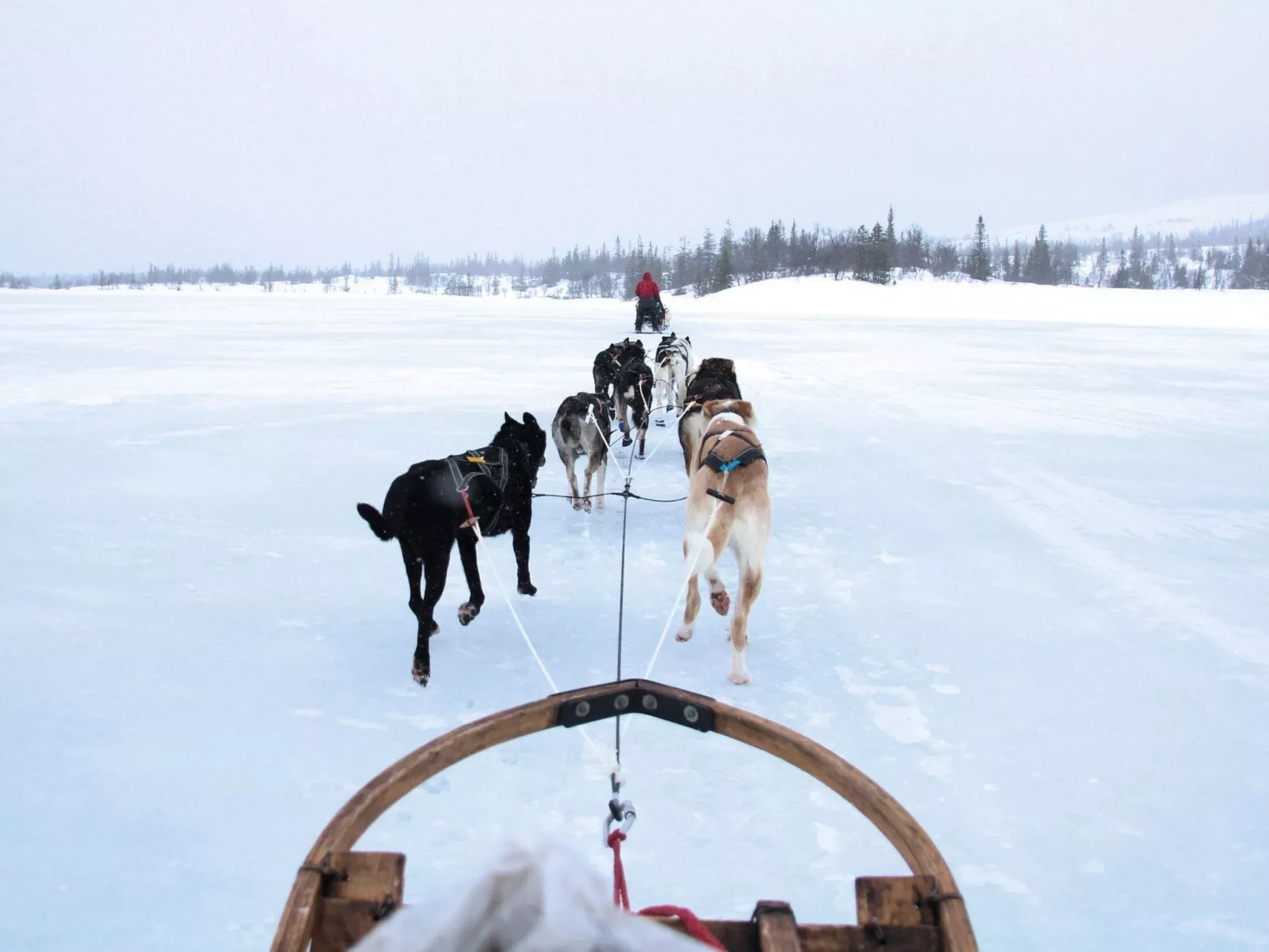 Charmantes Blockhaus, Sauna und Kamin-Outside
