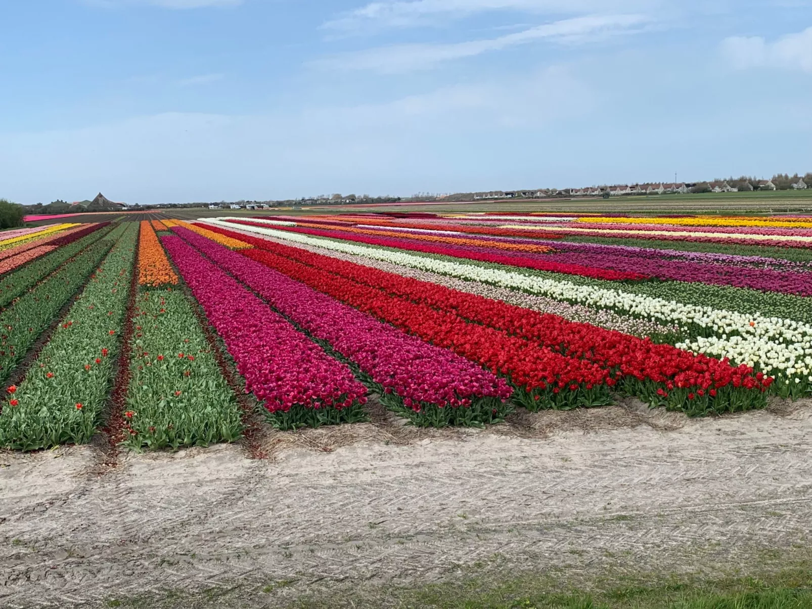 Strandslag 233-Inside