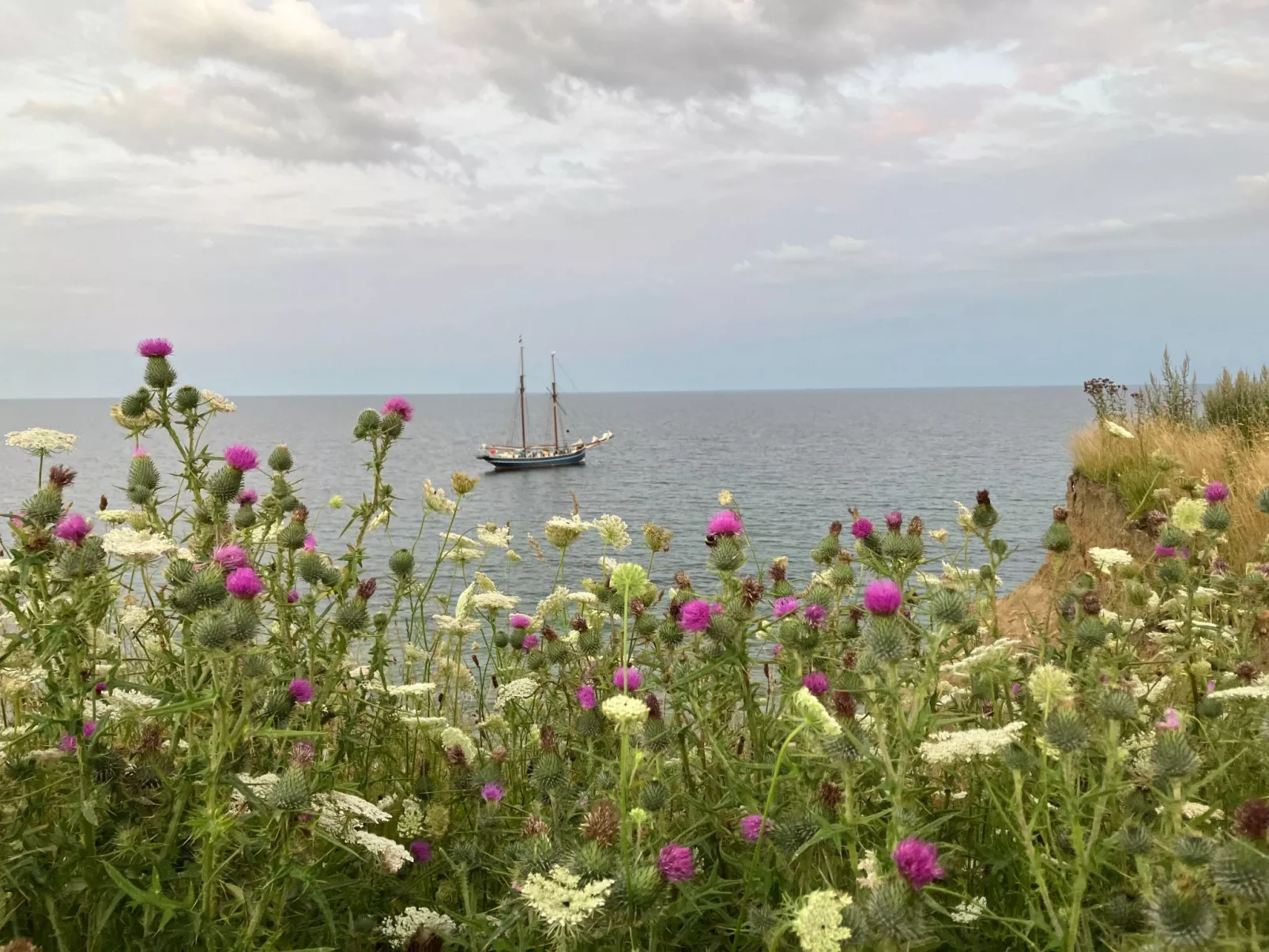 Haus mit Herz-Dehors