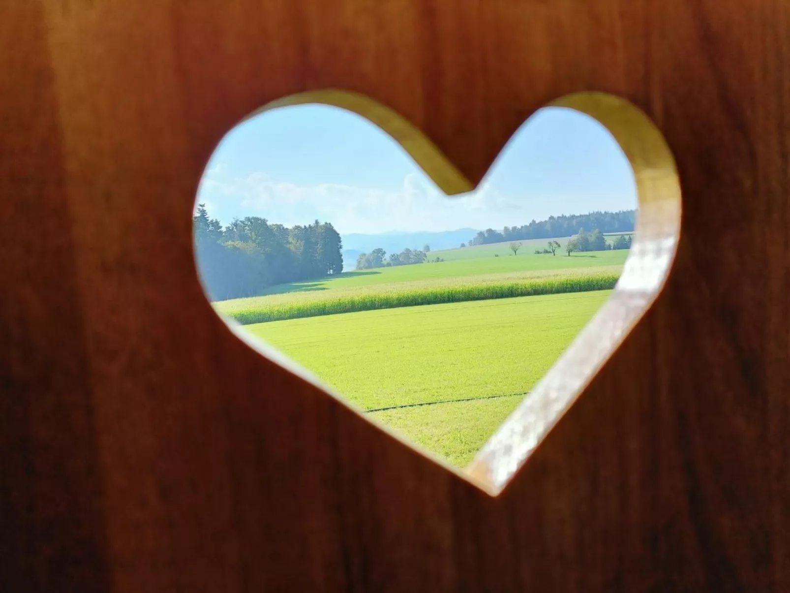 Zirkuswagen vom Sommerhof-Dehors