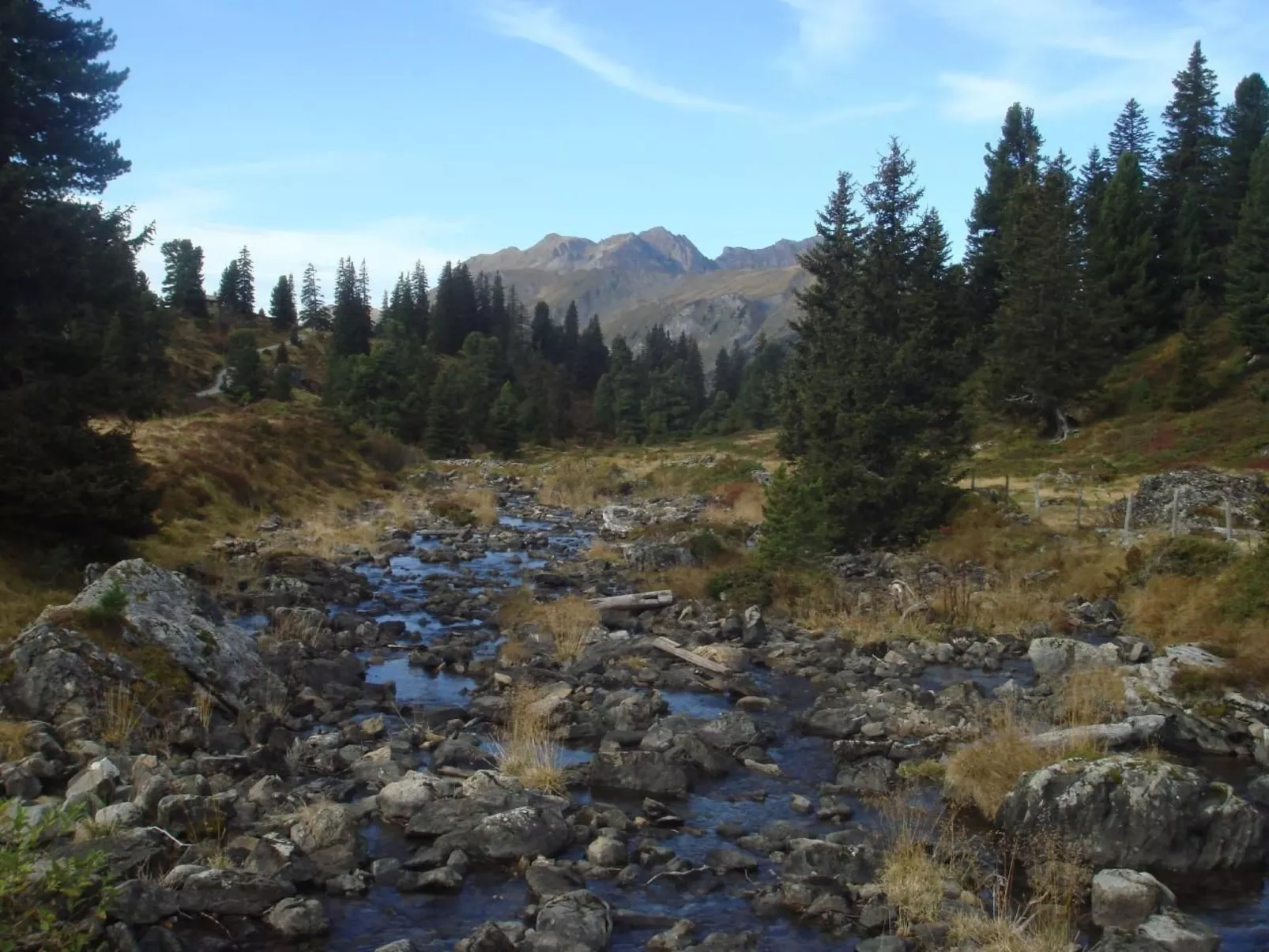 Alphütte Gental - Haslital-Draußen