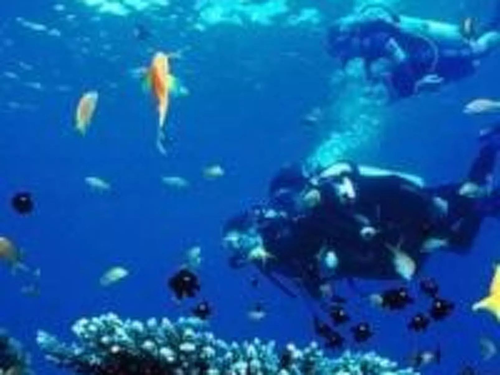 Vinka mit schönem Meerblick-Outside