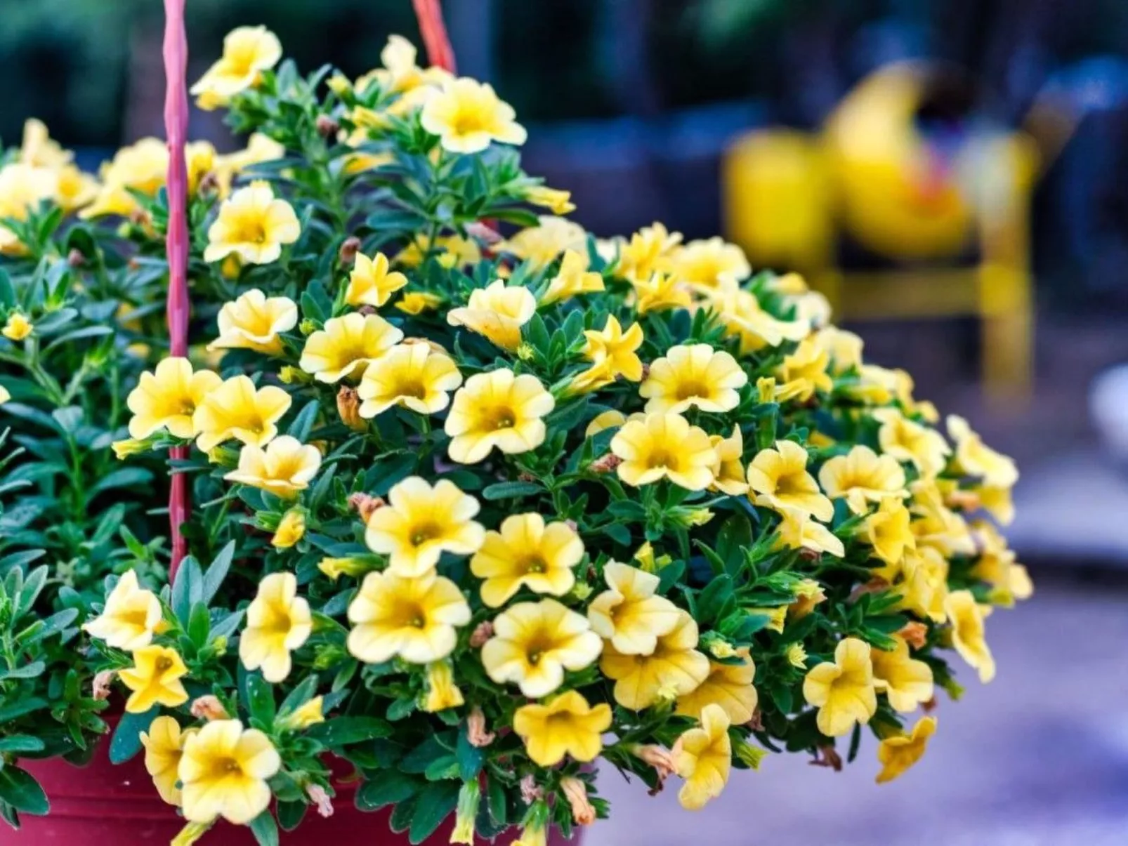 Villa Bacak-Draußen