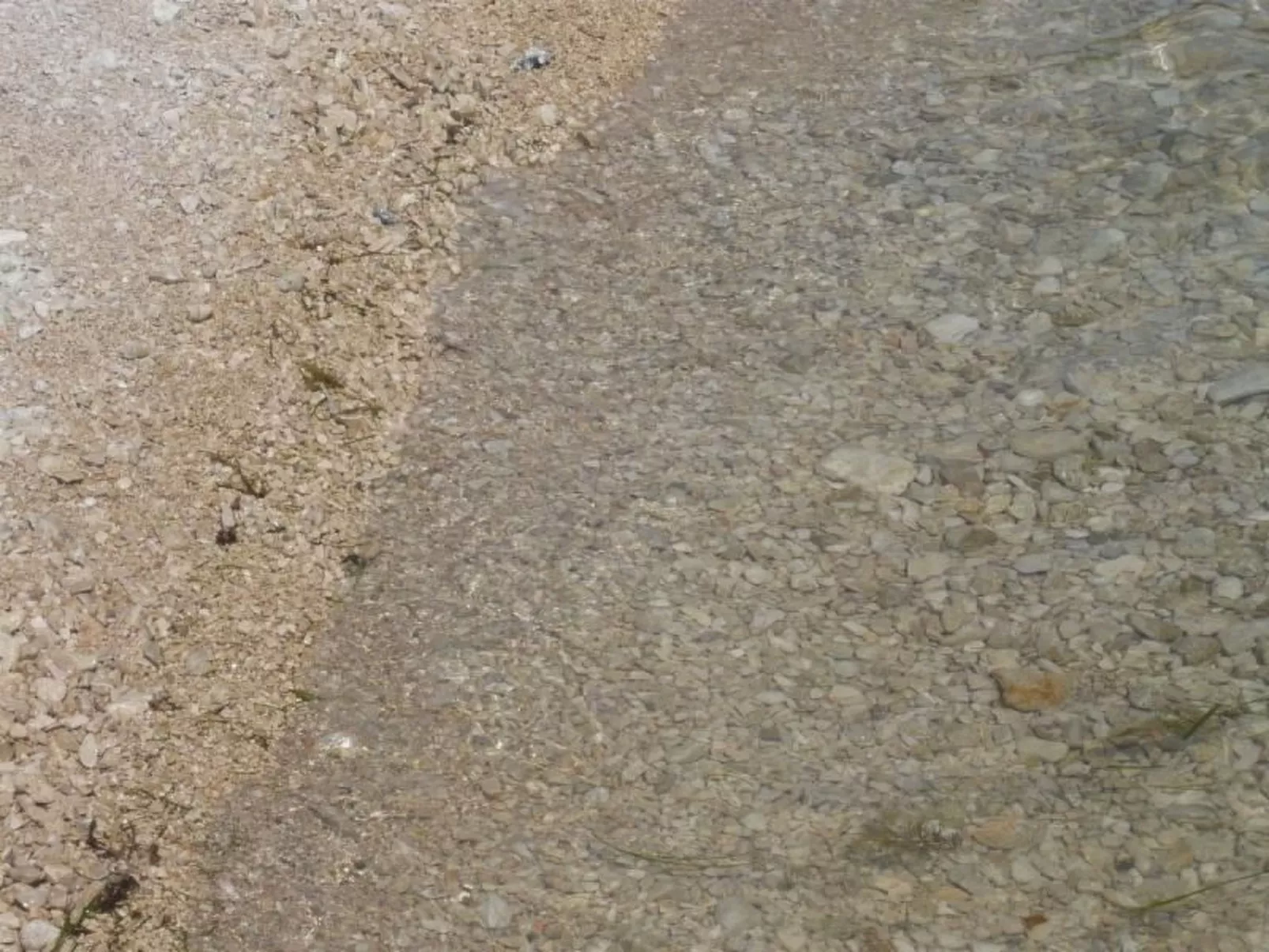 Studio mit Terrasse im ersten Stock des Hauses-Drinnen