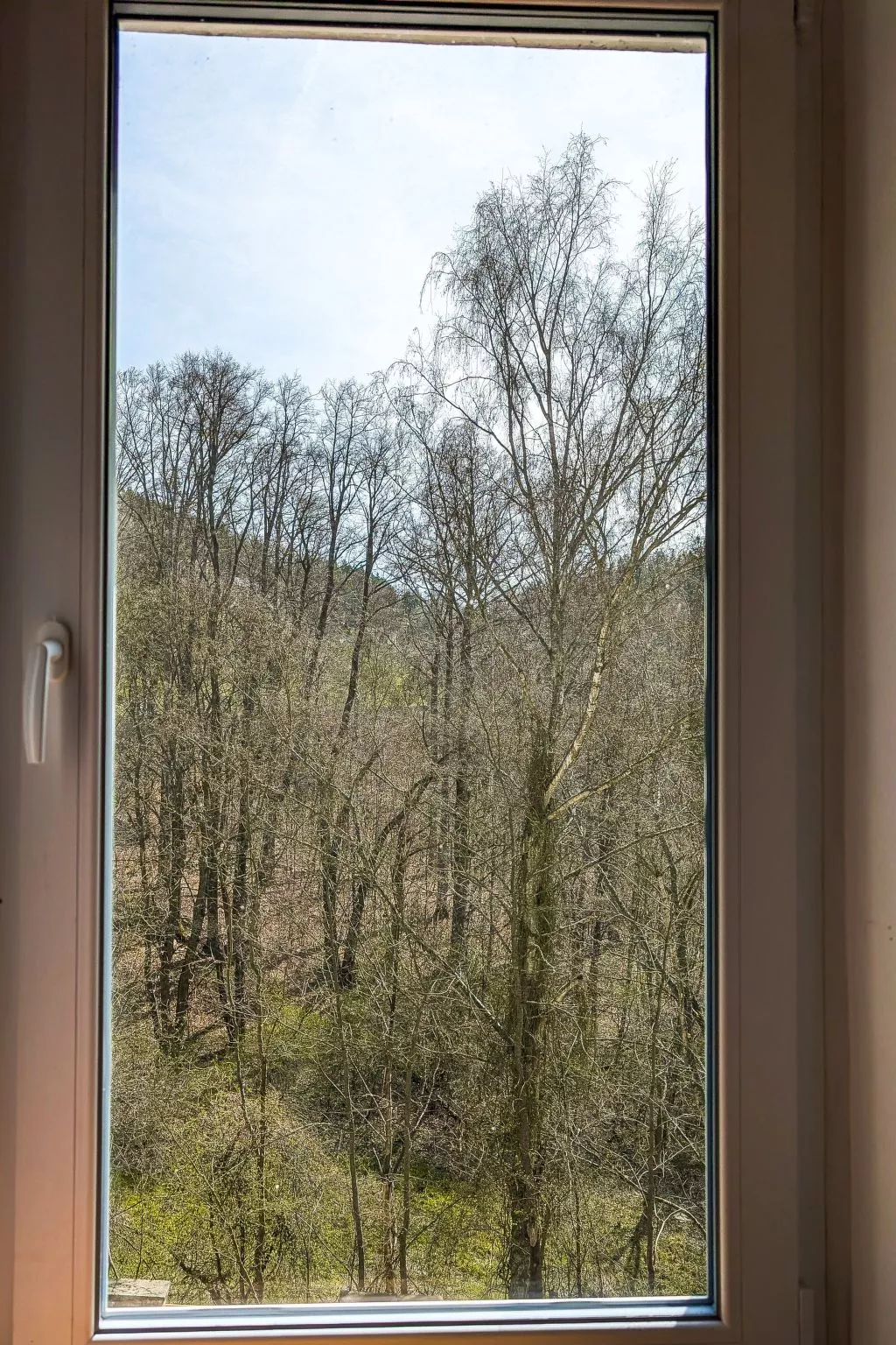 Jagd auf Ldoge-Inside