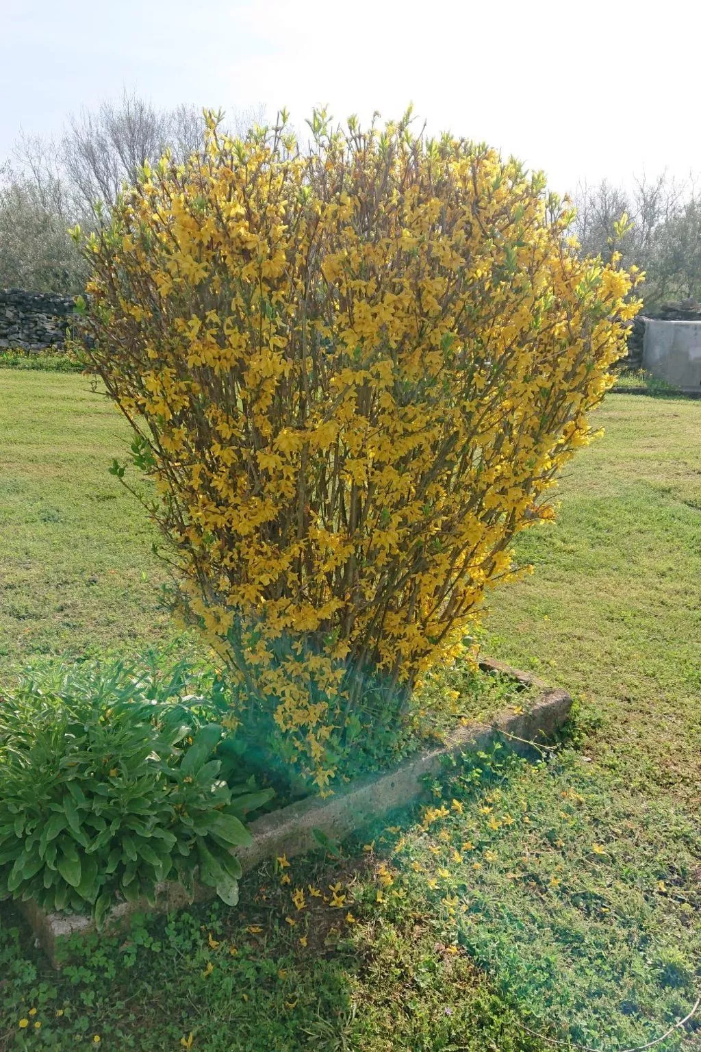 Das Haus im Wald-Inside