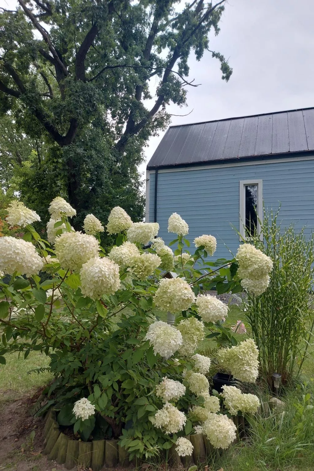 Chakram Nowe Warpno-Drinnen