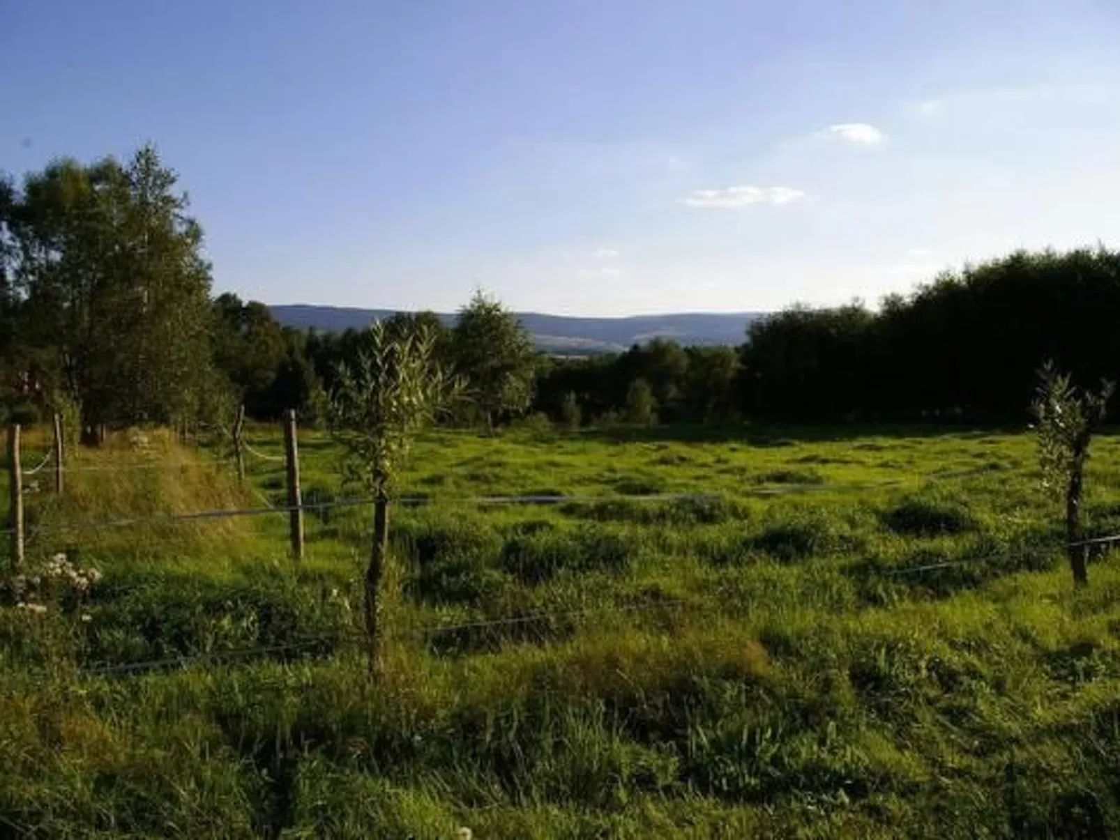 Blockhaus in Gajówka mit Kaminofen-Drinnen