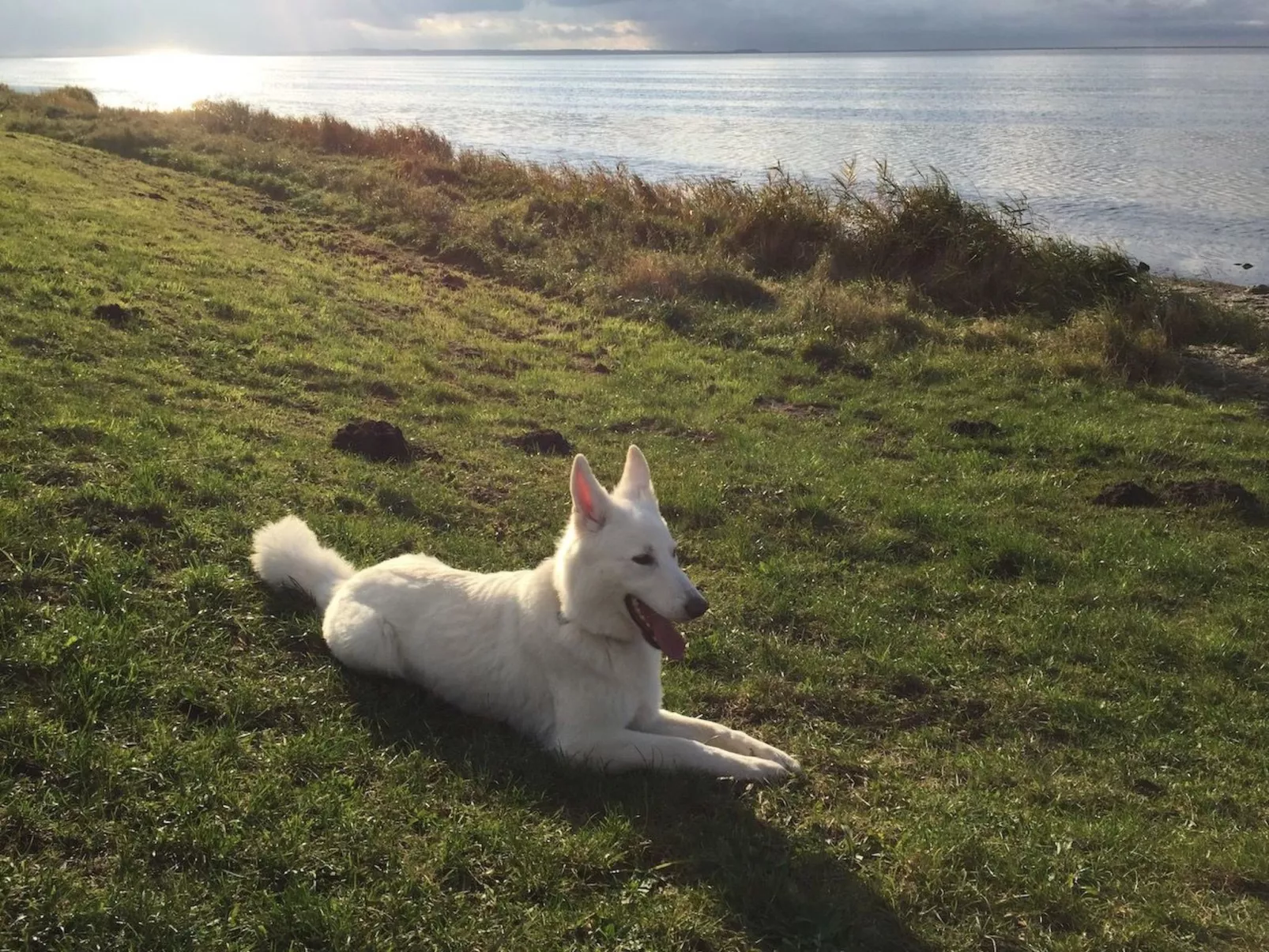 Komfortable Ferienwohnung in Waase-Inside