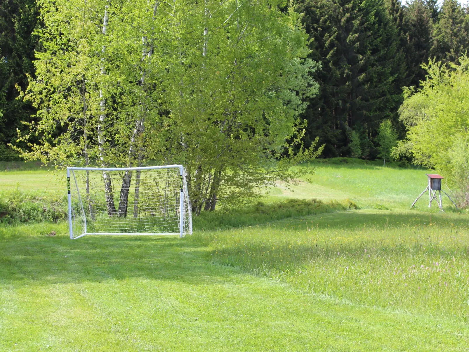 Mit Kaminofen, Fitnessraum und Sauna-Draußen