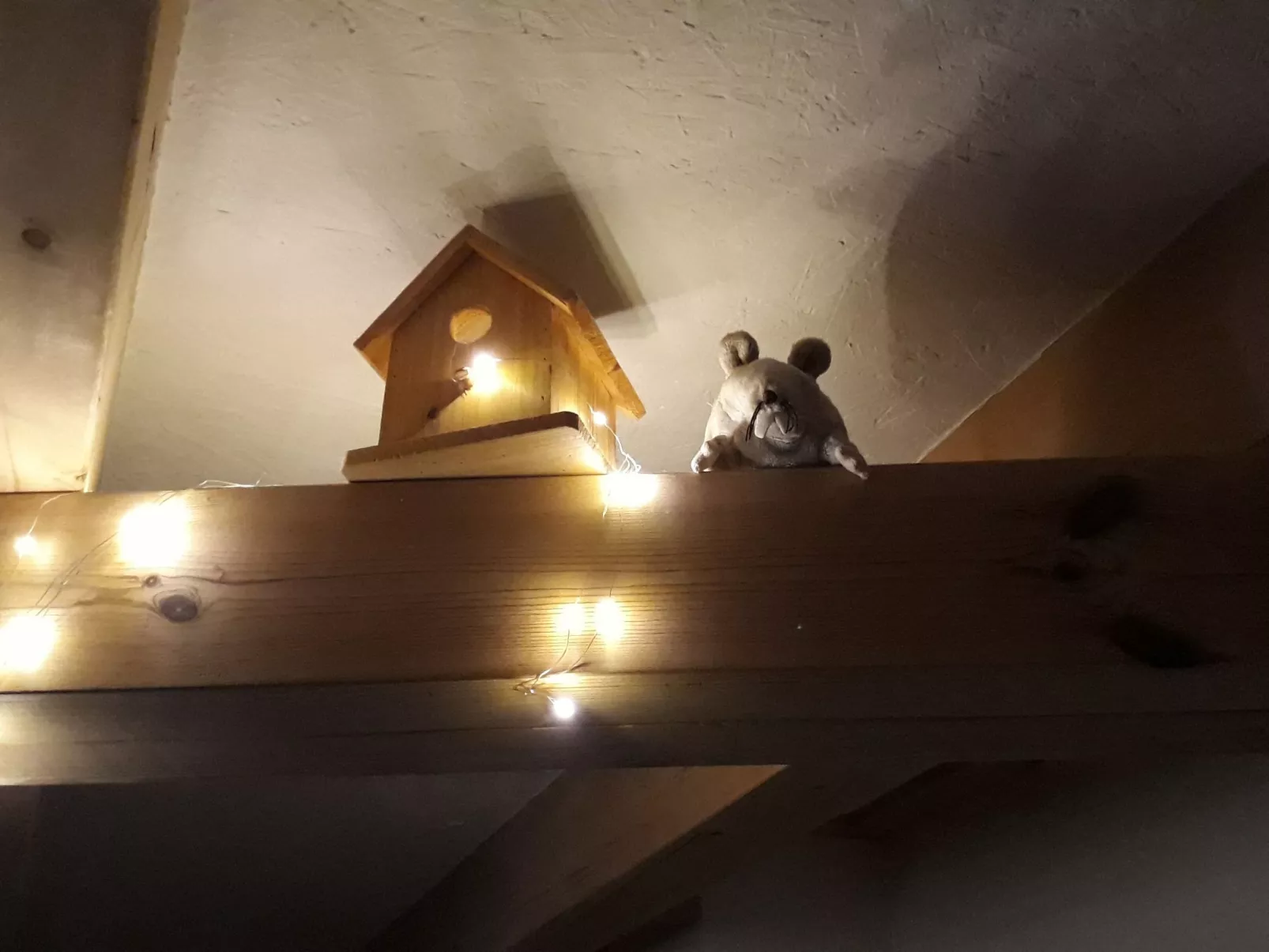 Kapitänskoje an der Wismarbucht-Drinnen