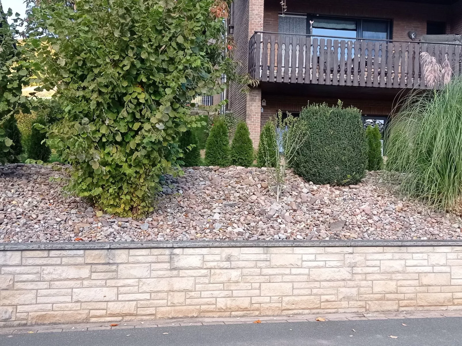 Apartment mit Hund-Inside