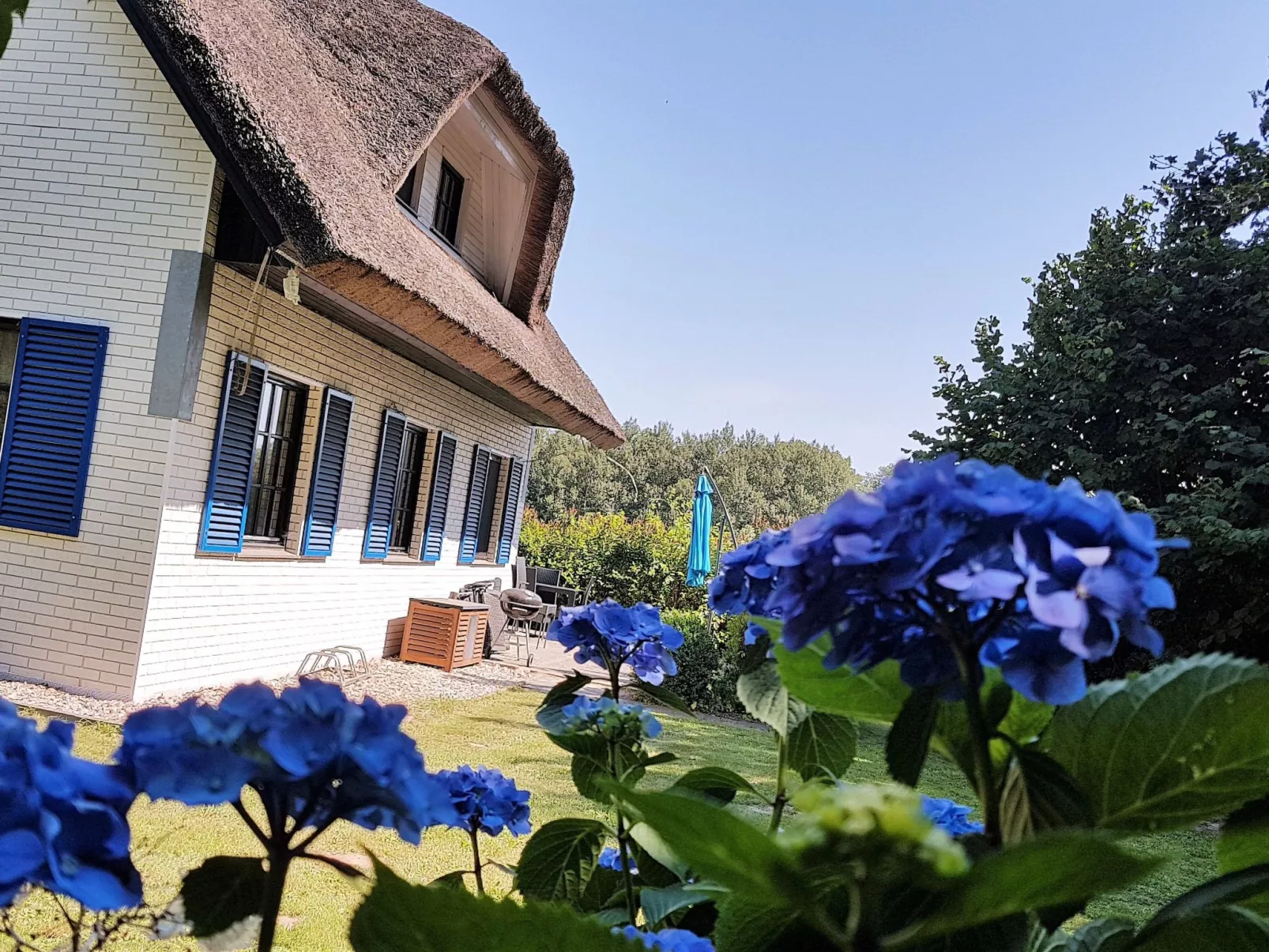 Haus-Zauberblau-Drinnen