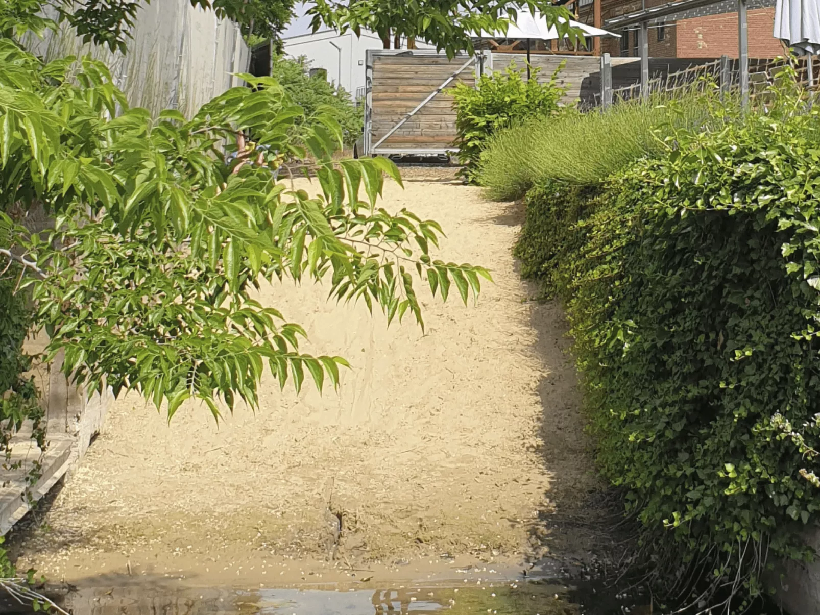 In Strandnähe-Outside