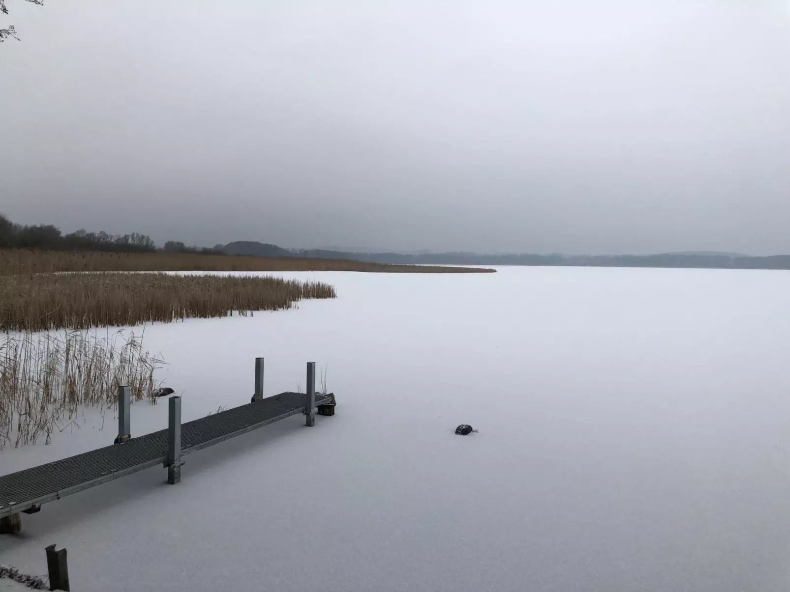 Mit Sauna und Kaminofen-Dedans